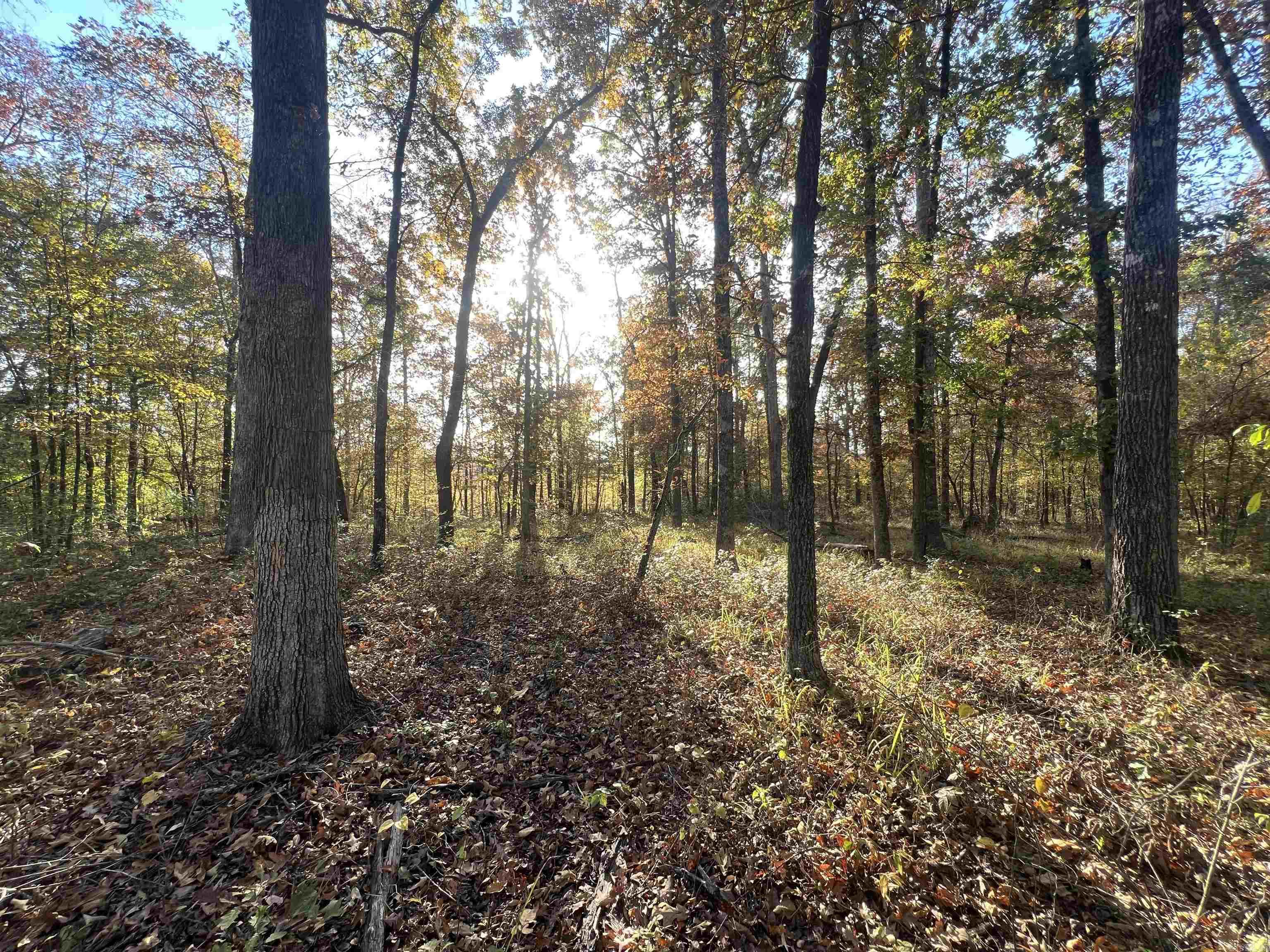 Not in Subdivision - Land