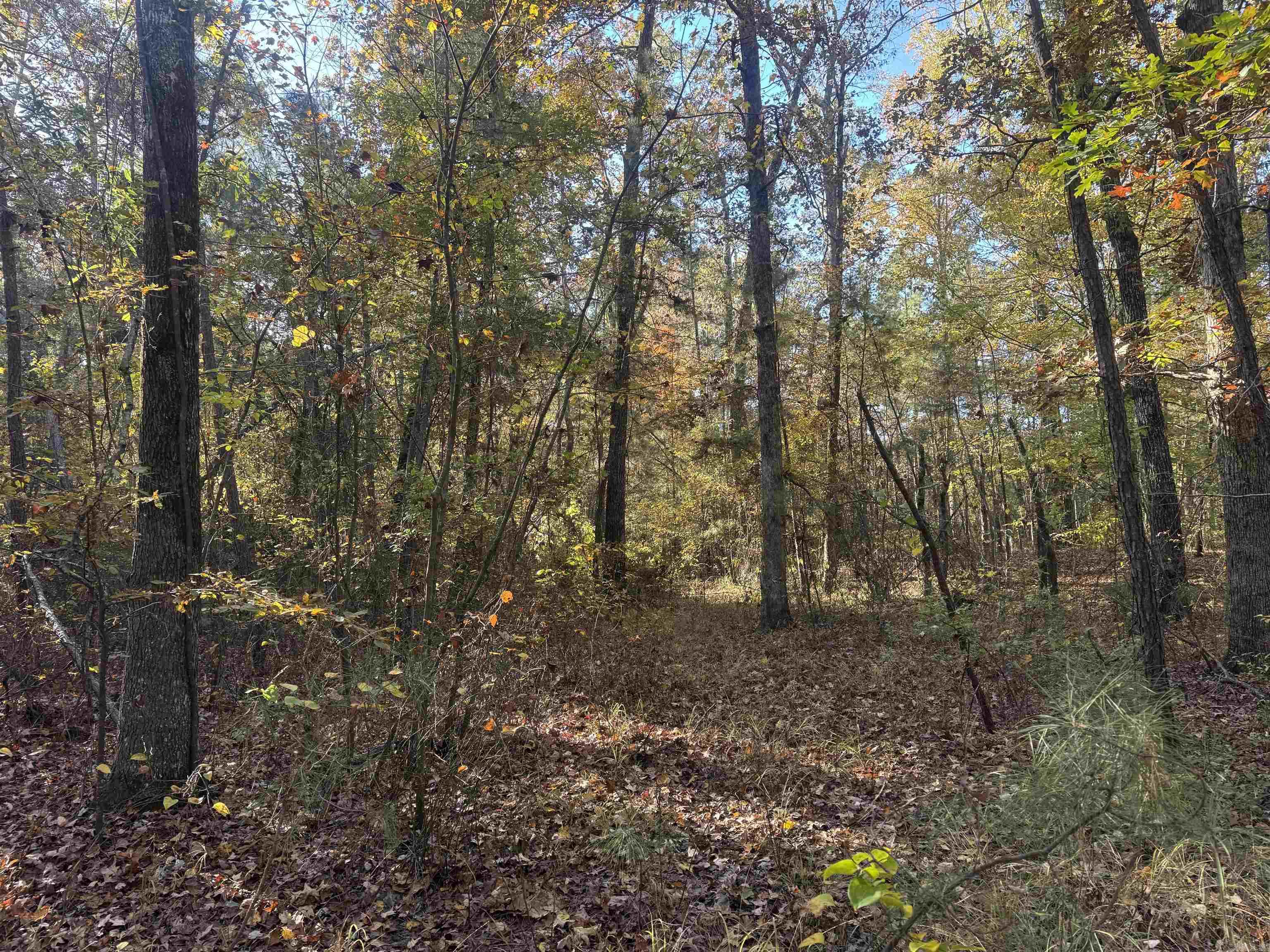 Not in Subdivision - Land