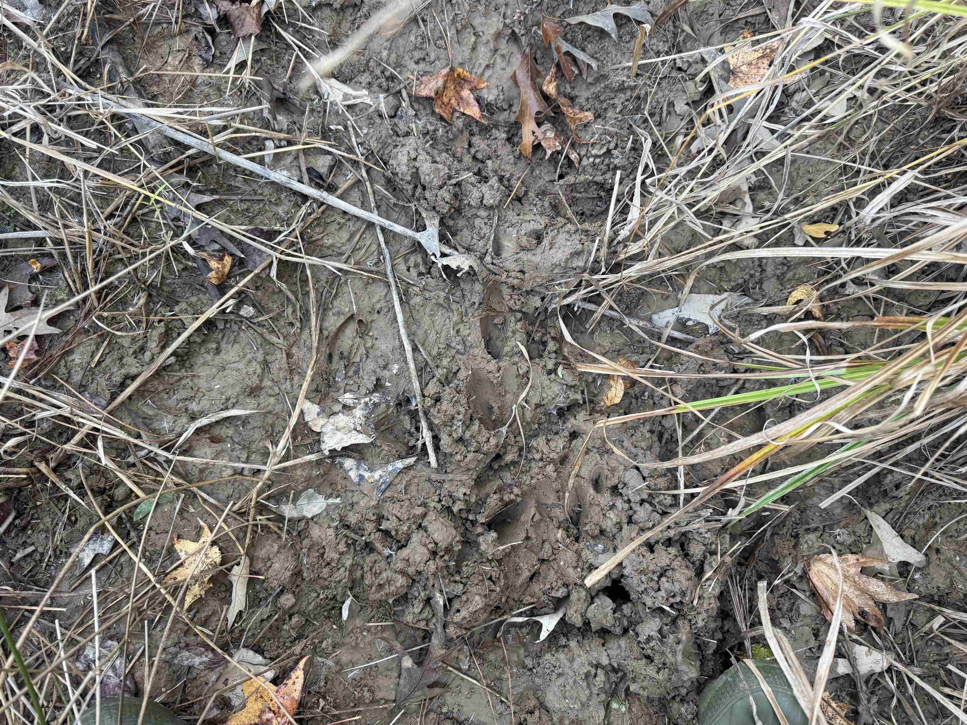 Not in Subdivision - Land