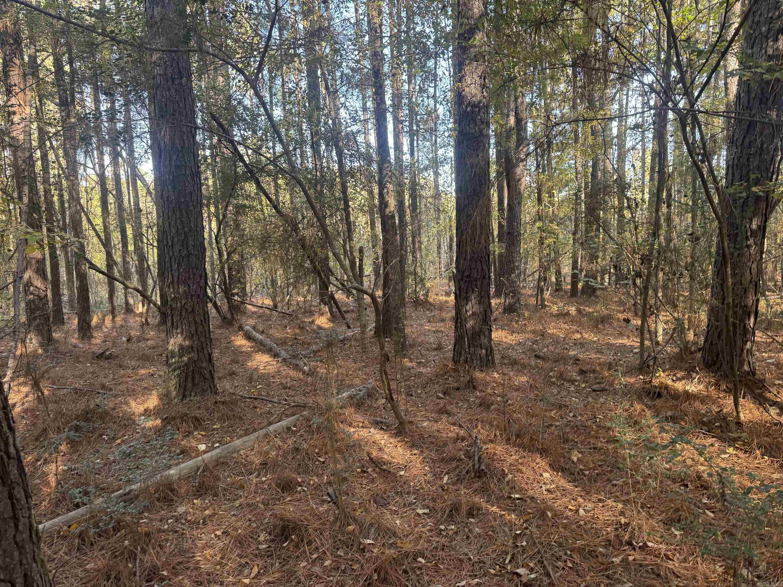 Not in Subdivision - Land