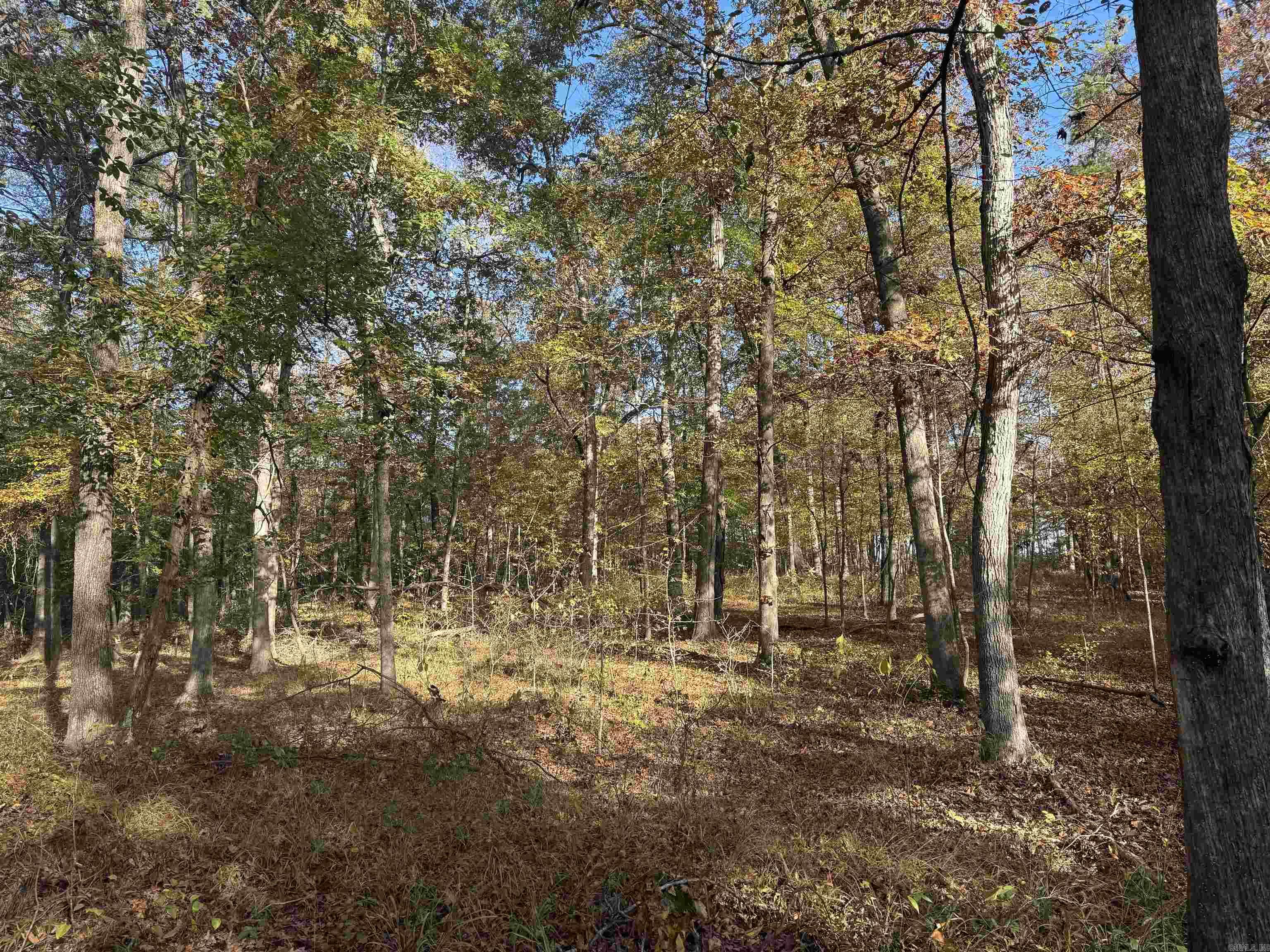 Not in Subdivision - Land