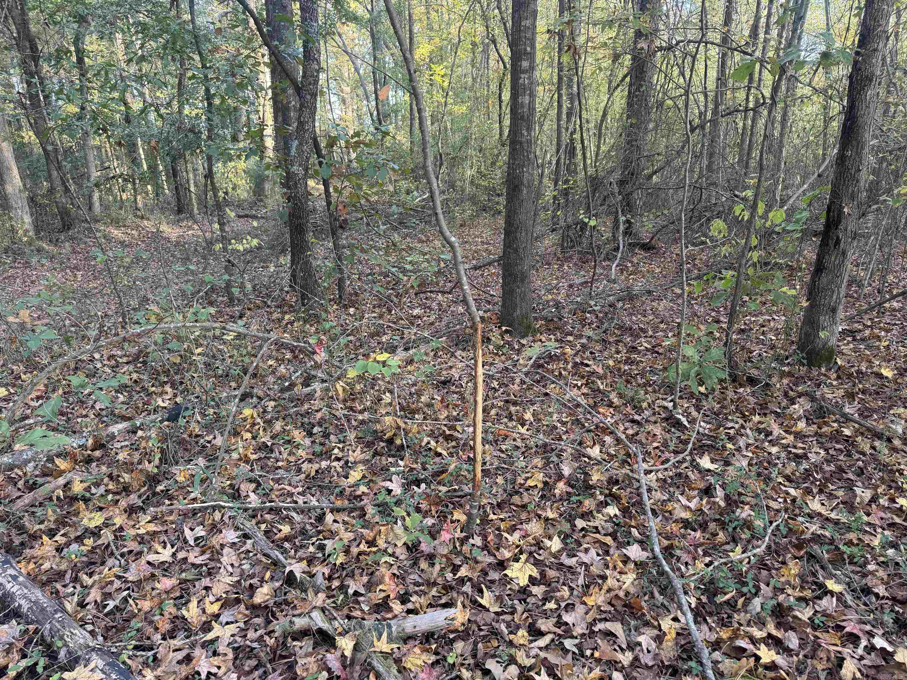 Not in Subdivision - Land