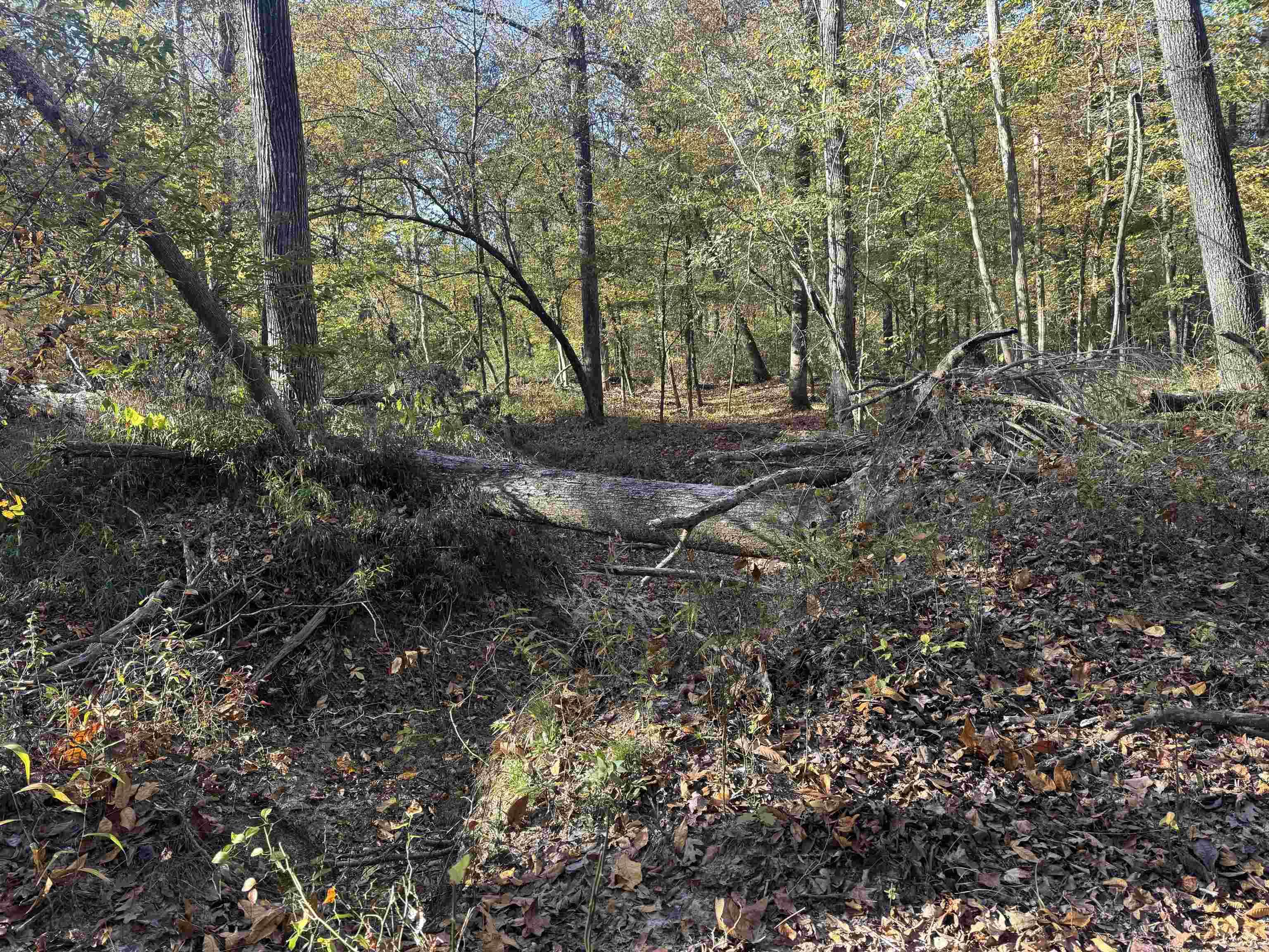 Not in Subdivision - Land