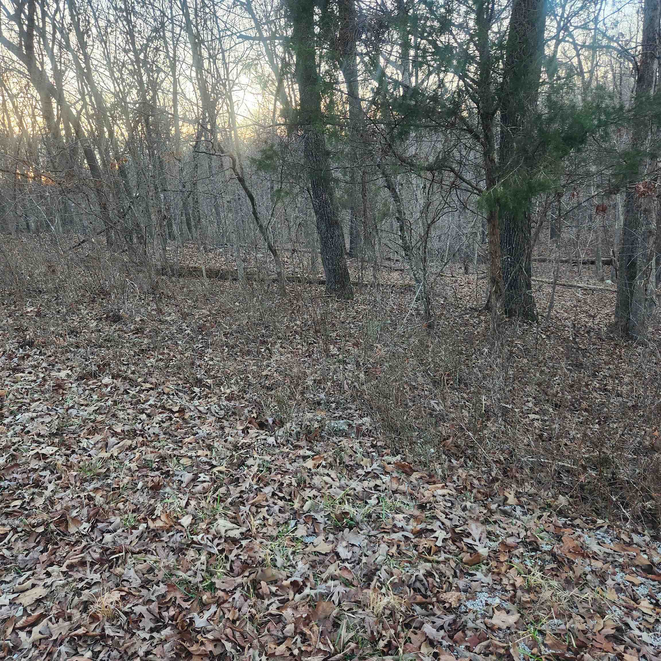 Choctaw Fourth - Land