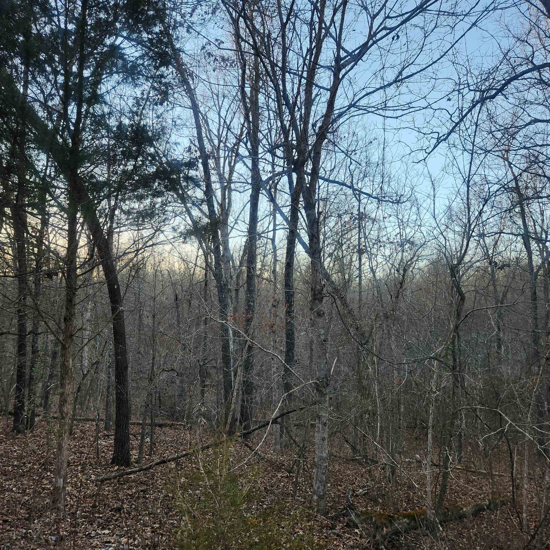 Choctaw Fourth - Land