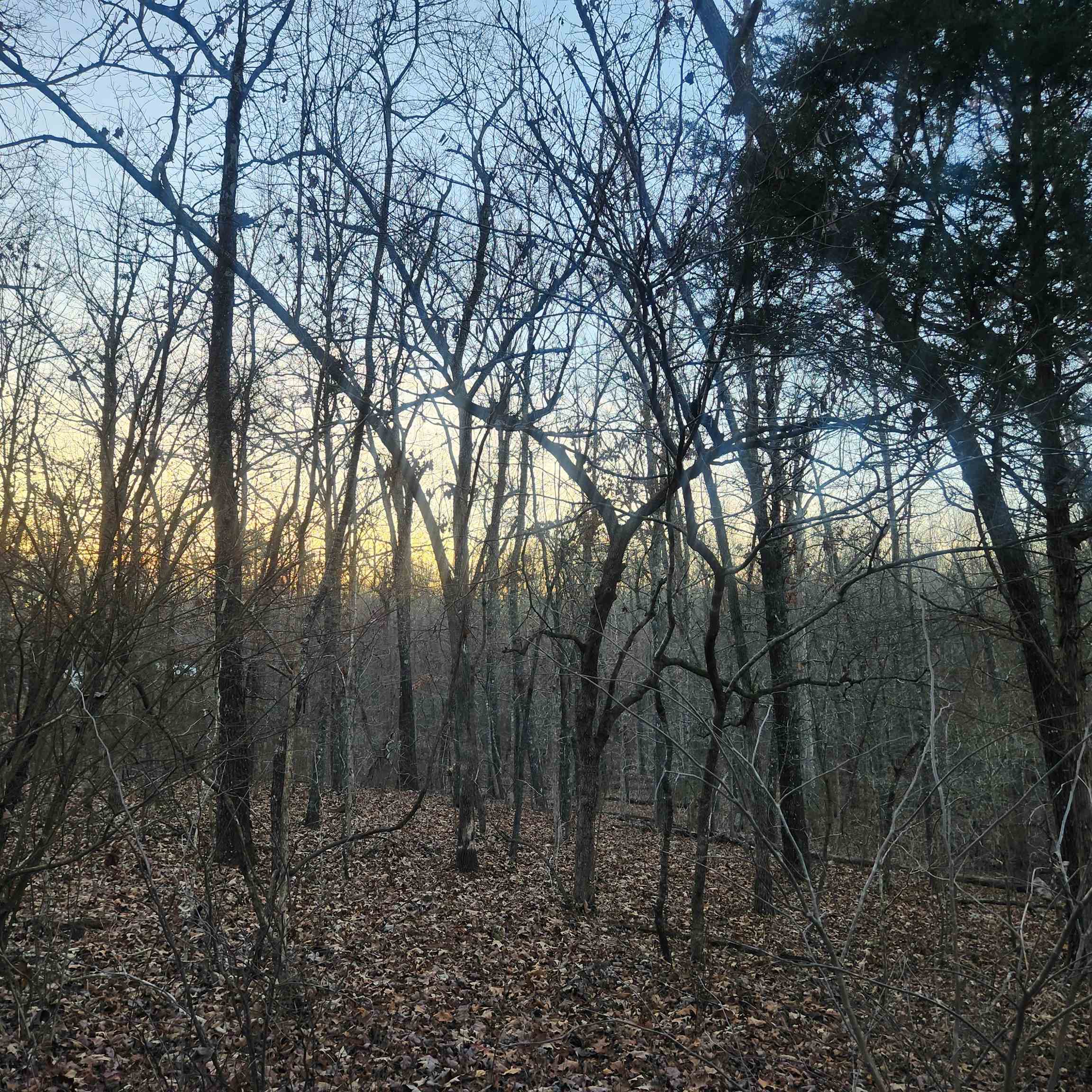 Choctaw Fourth - Land