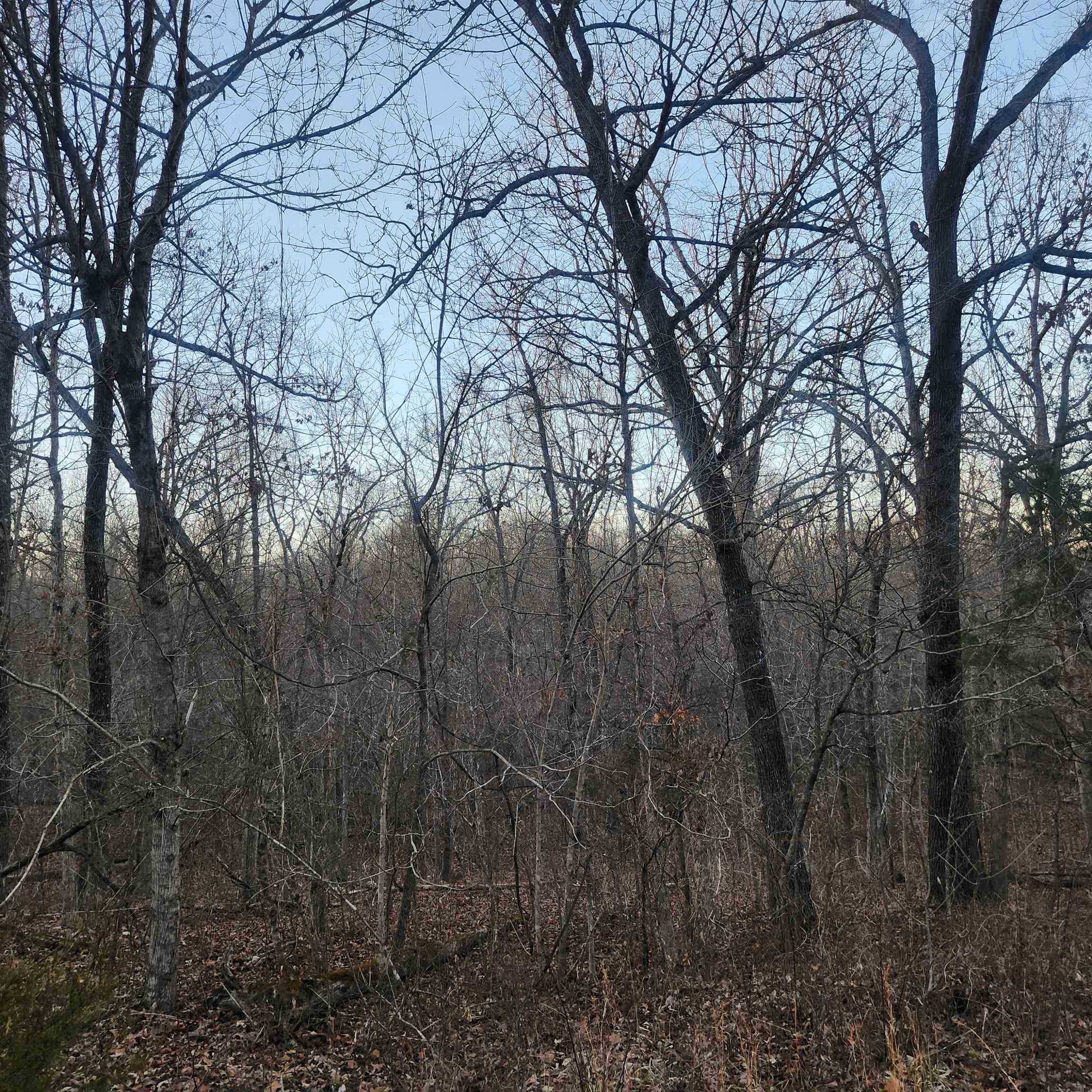 Choctaw Fourth - Land