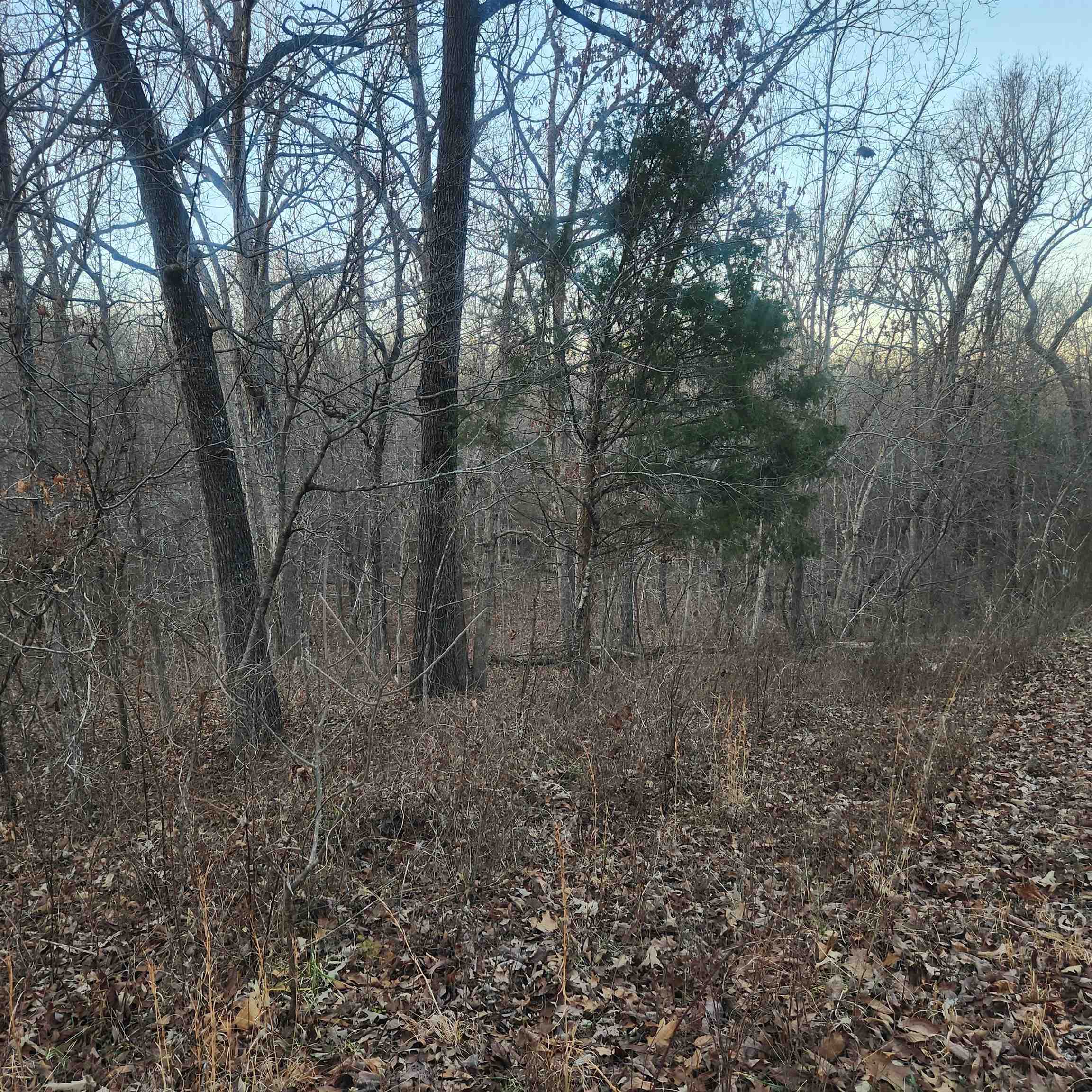 Choctaw Fourth - Land