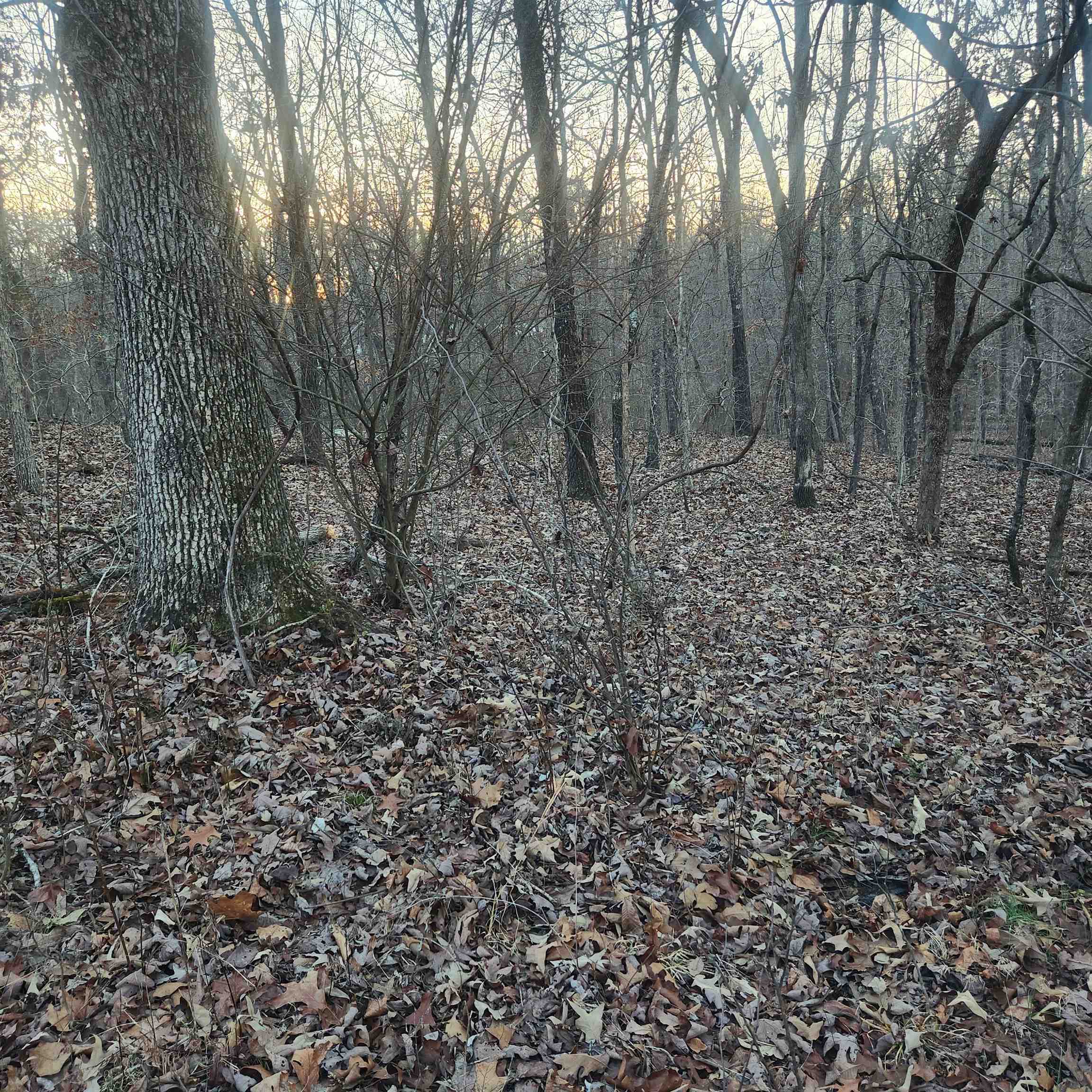 Choctaw Fourth - Land