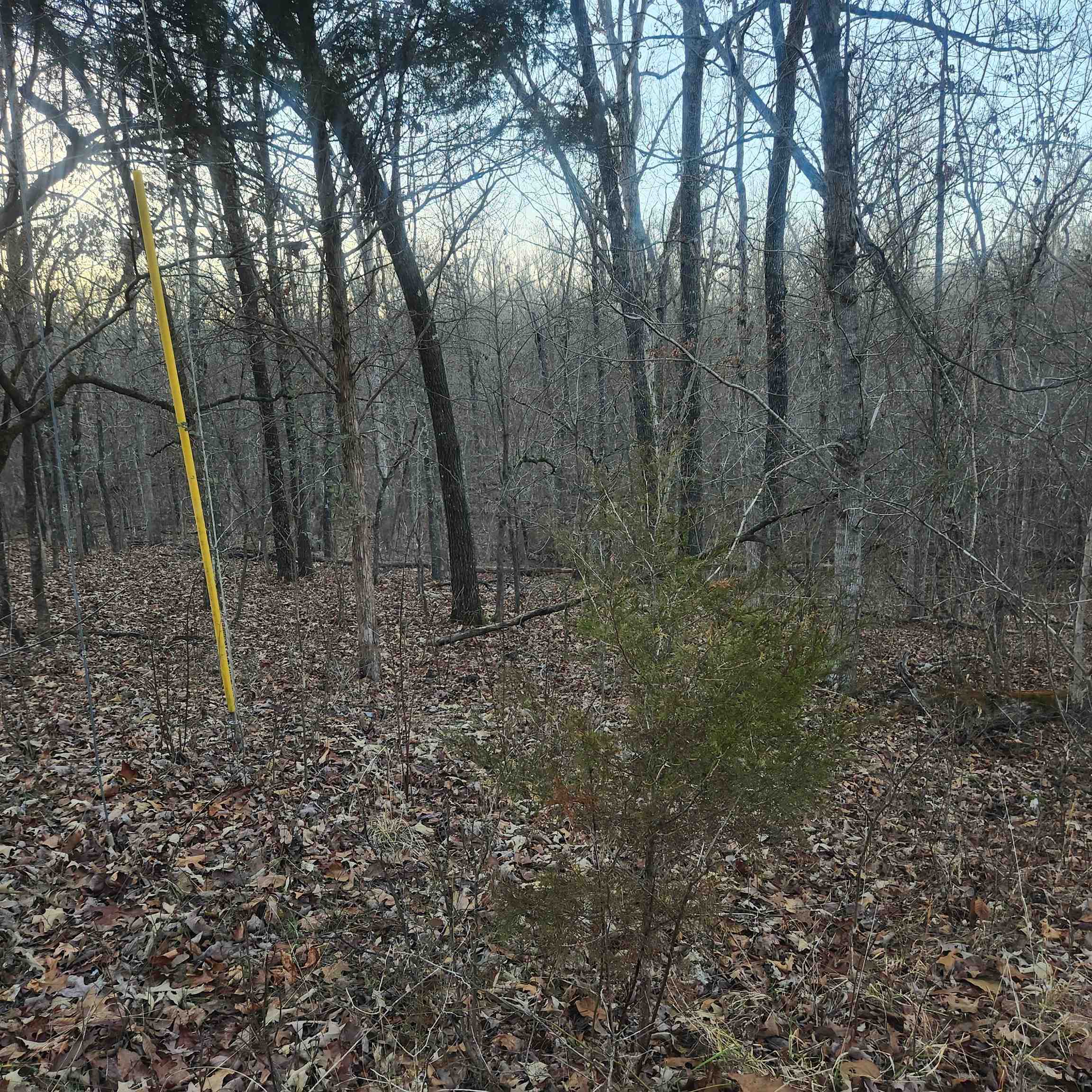 Choctaw Fourth - Land