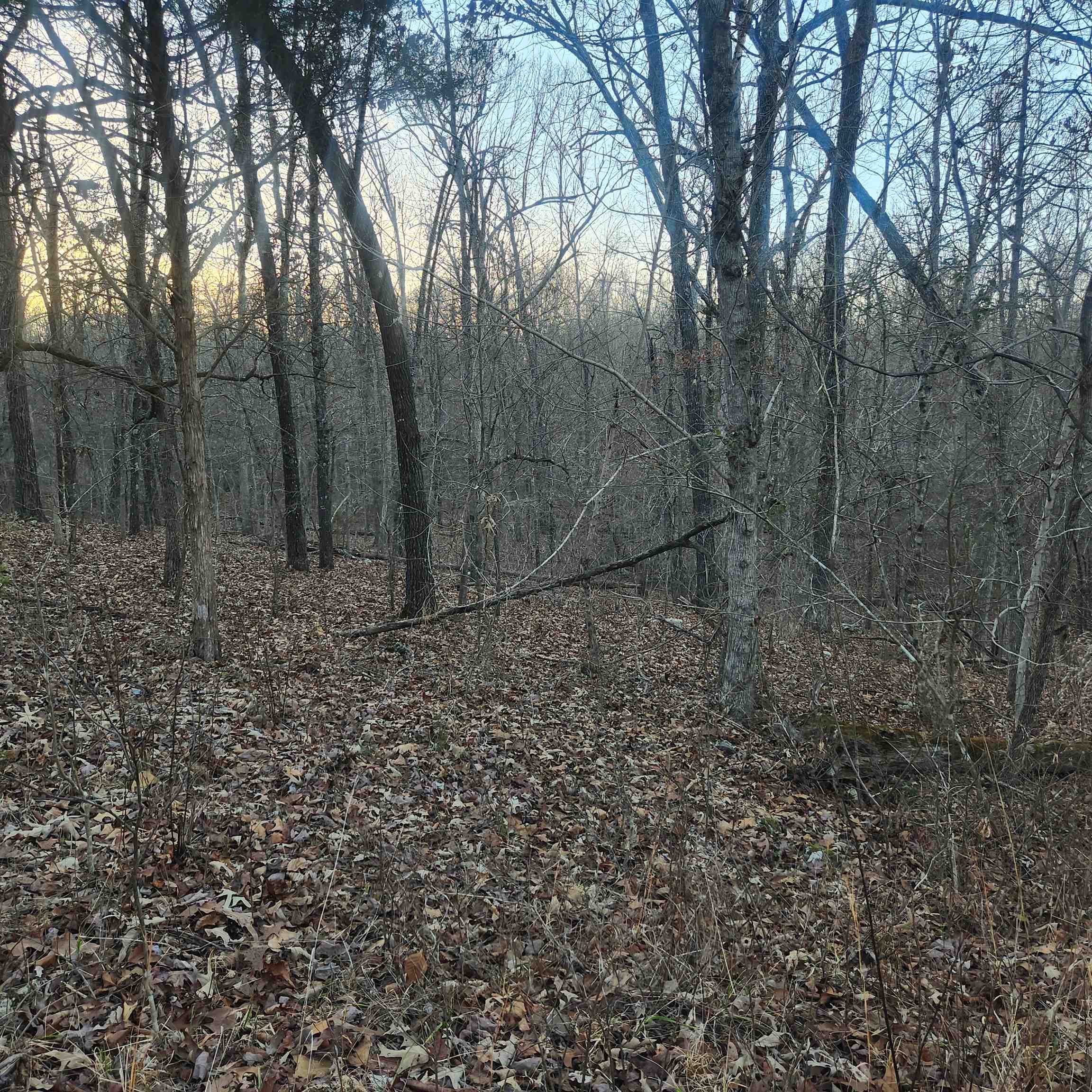 Choctaw Fourth - Land