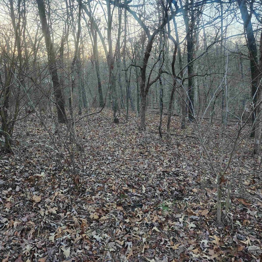 Wooded lot near the front of Cherokee Village. Many Oak and Cedar trees. Secluded and away from it all. But close to a main road for quick exits from the Village for shopping, dining and entertainment. Buy this lot and pick your spot to build your dream home or just a getaway cabin. This lot has a gentle front to back slope. With ownership of this lot, you will have access to all the amenities of Cherokee Village such as the 7 lakes and Two 18-hole golf courses also the Thunderbird Center and swimming pool, mini golf, parks, hiking trails and don't forget about the beautiful Southfork River for fishing, kayaking or just floating down to wet your toes. This is a wonderful lot to purchase and plan for your future home. Call to purchase this one.