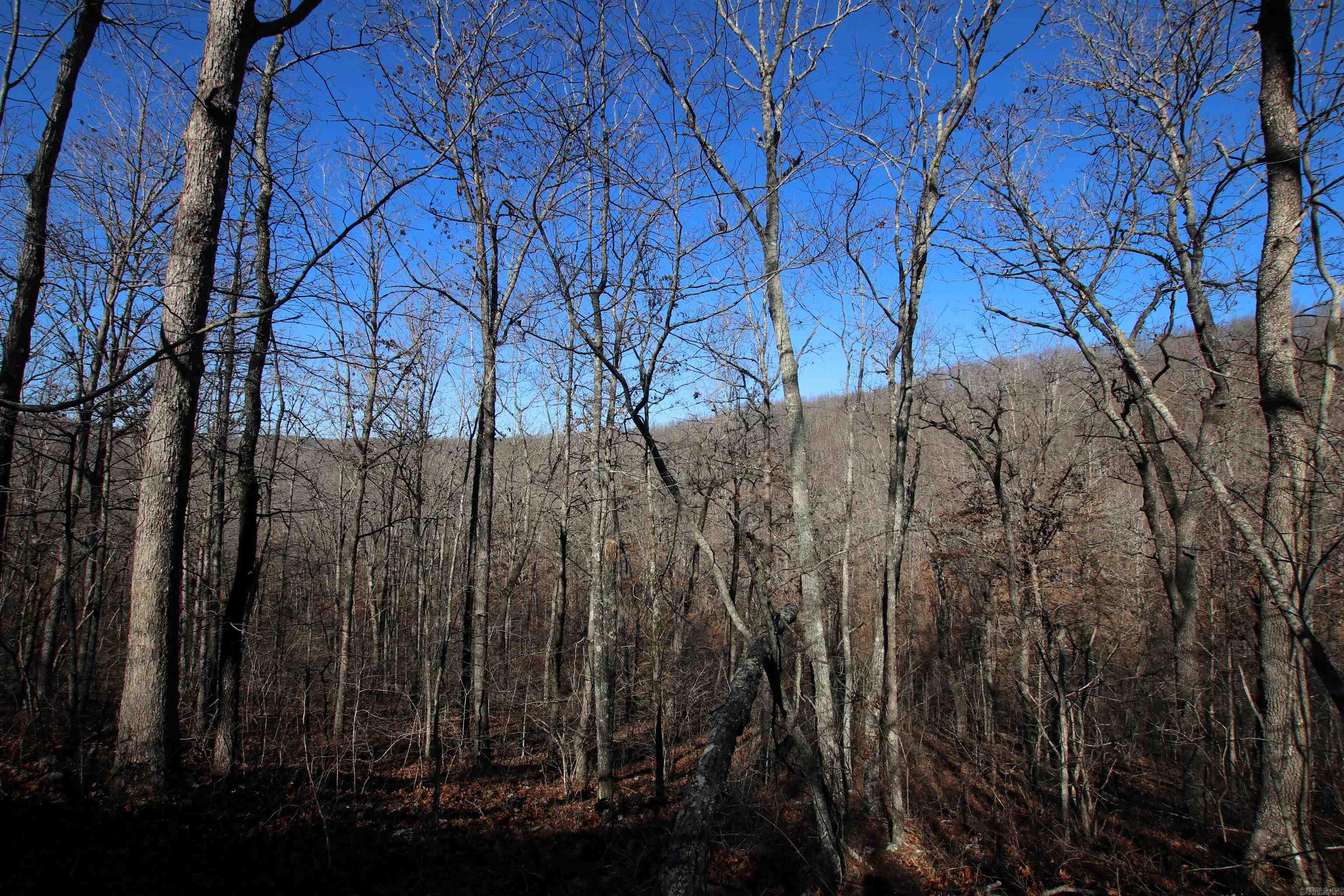 Not in Subdivision - Land