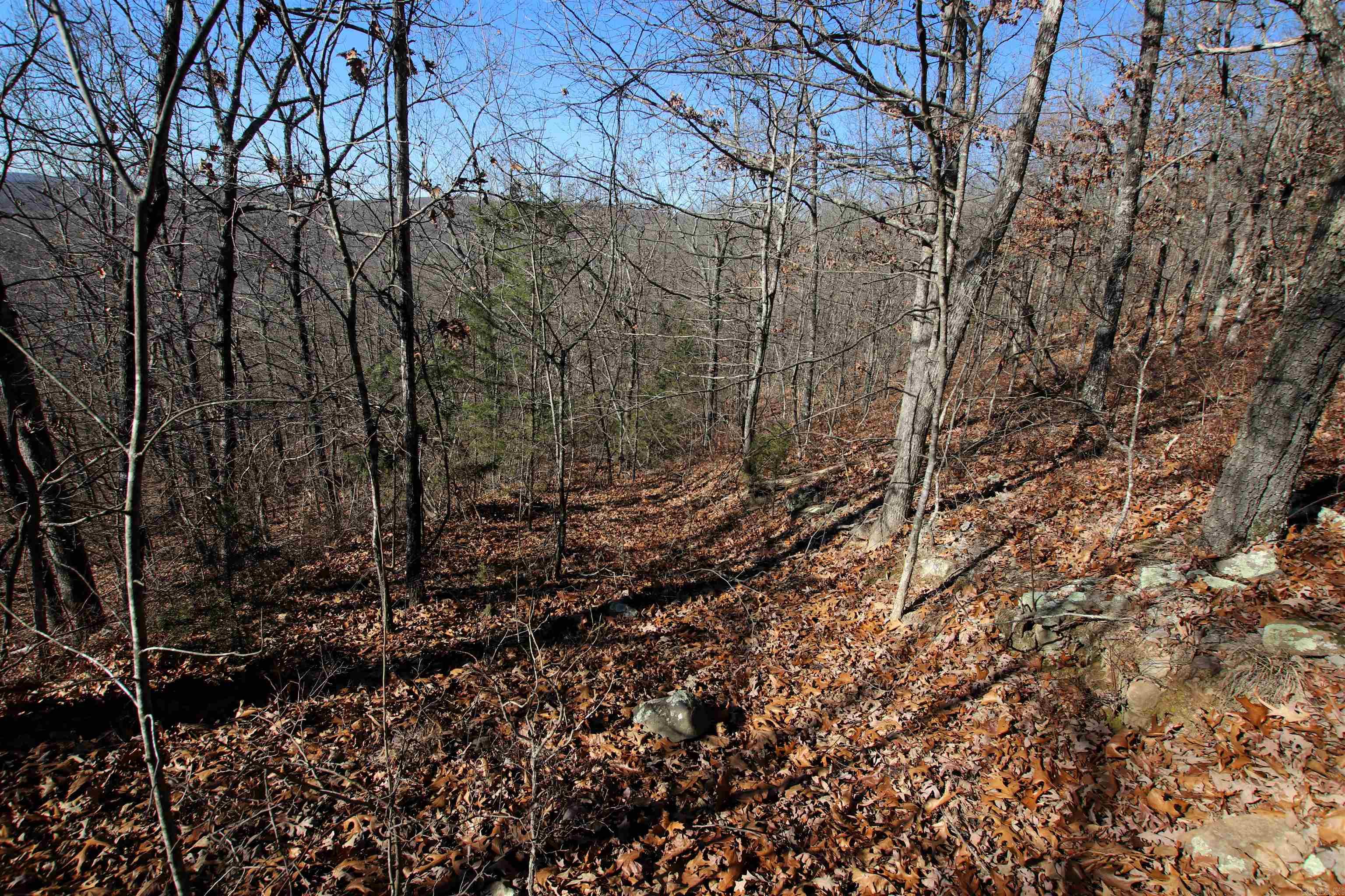 Not in Subdivision - Land