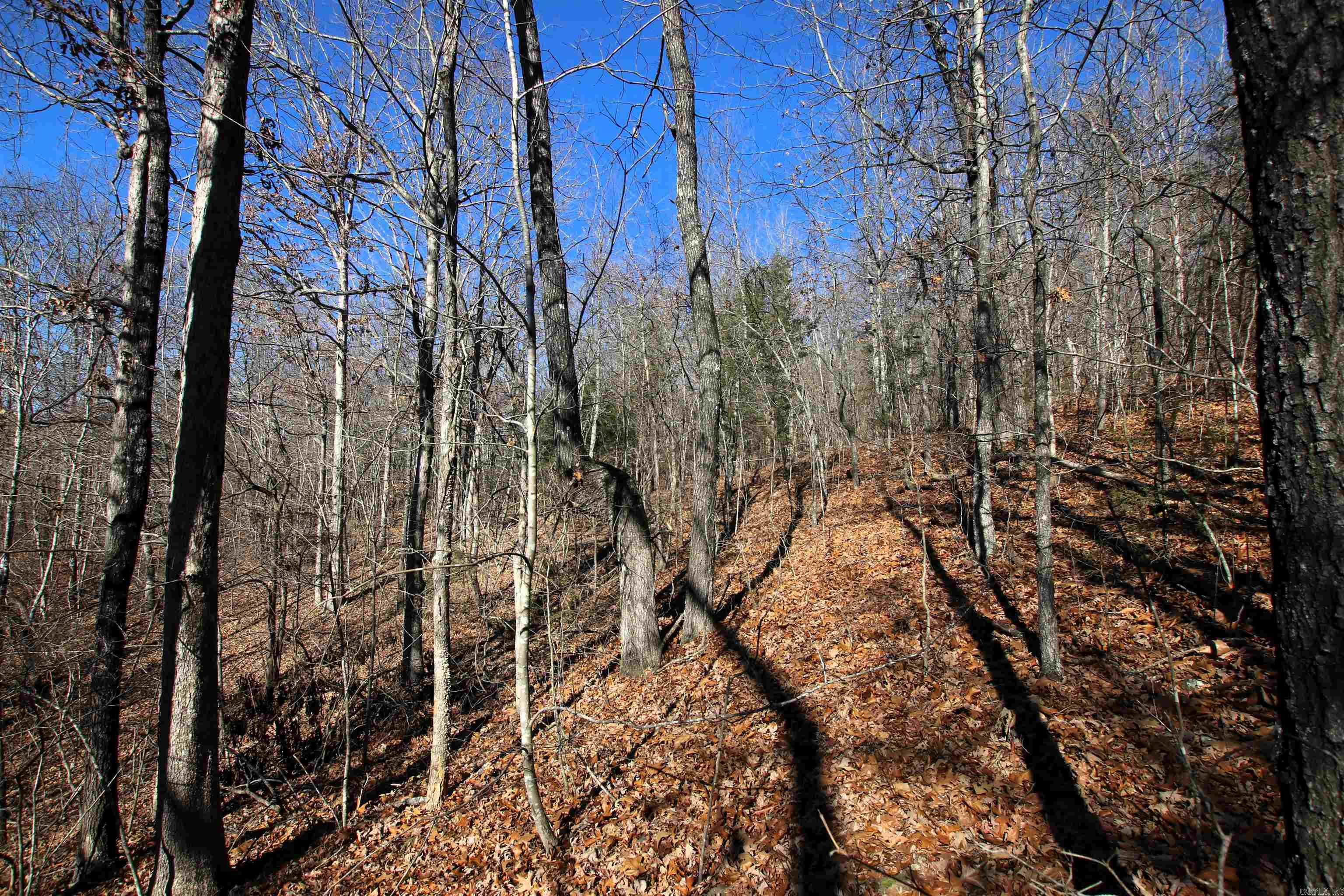 Not in Subdivision - Land