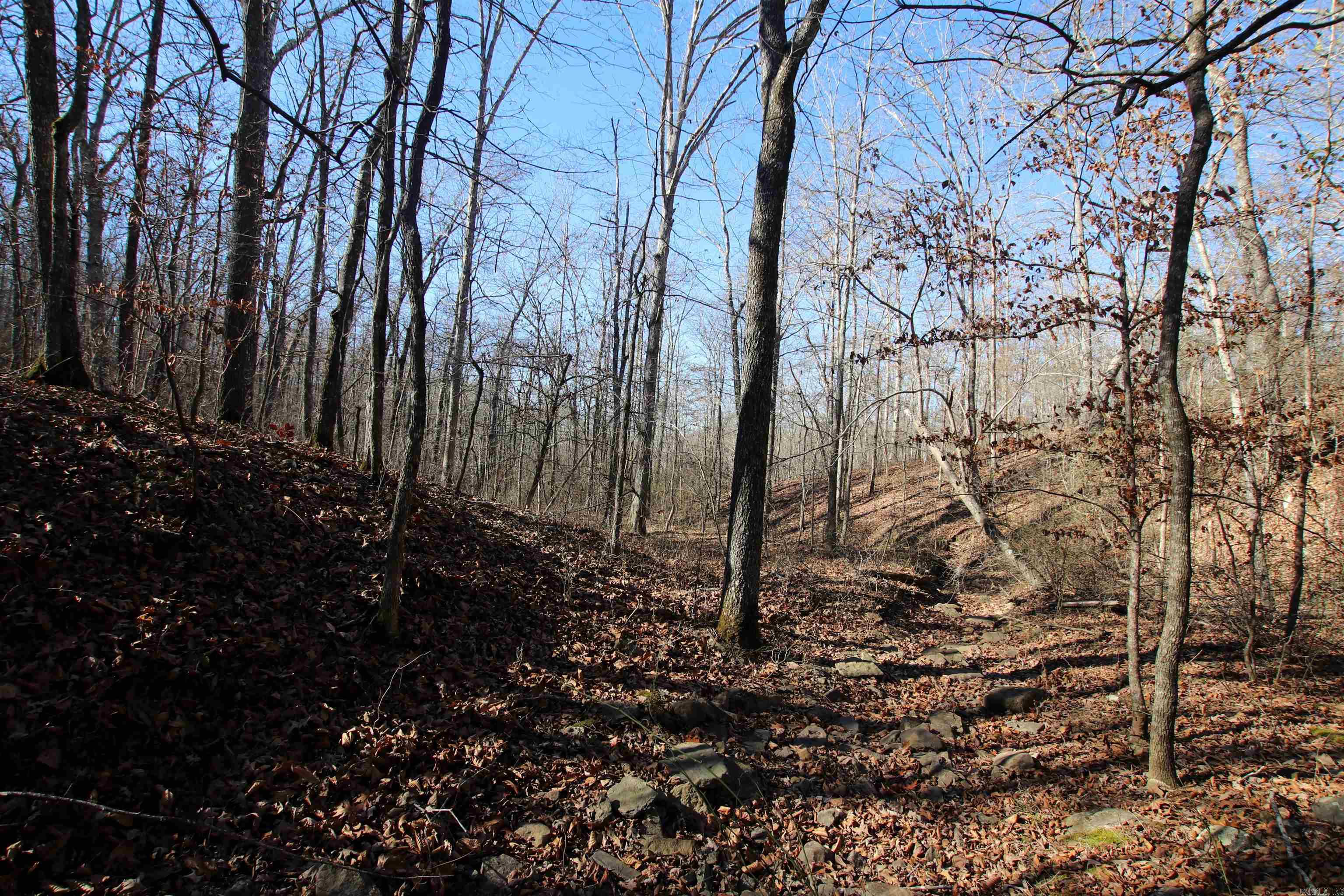 Not in Subdivision - Land