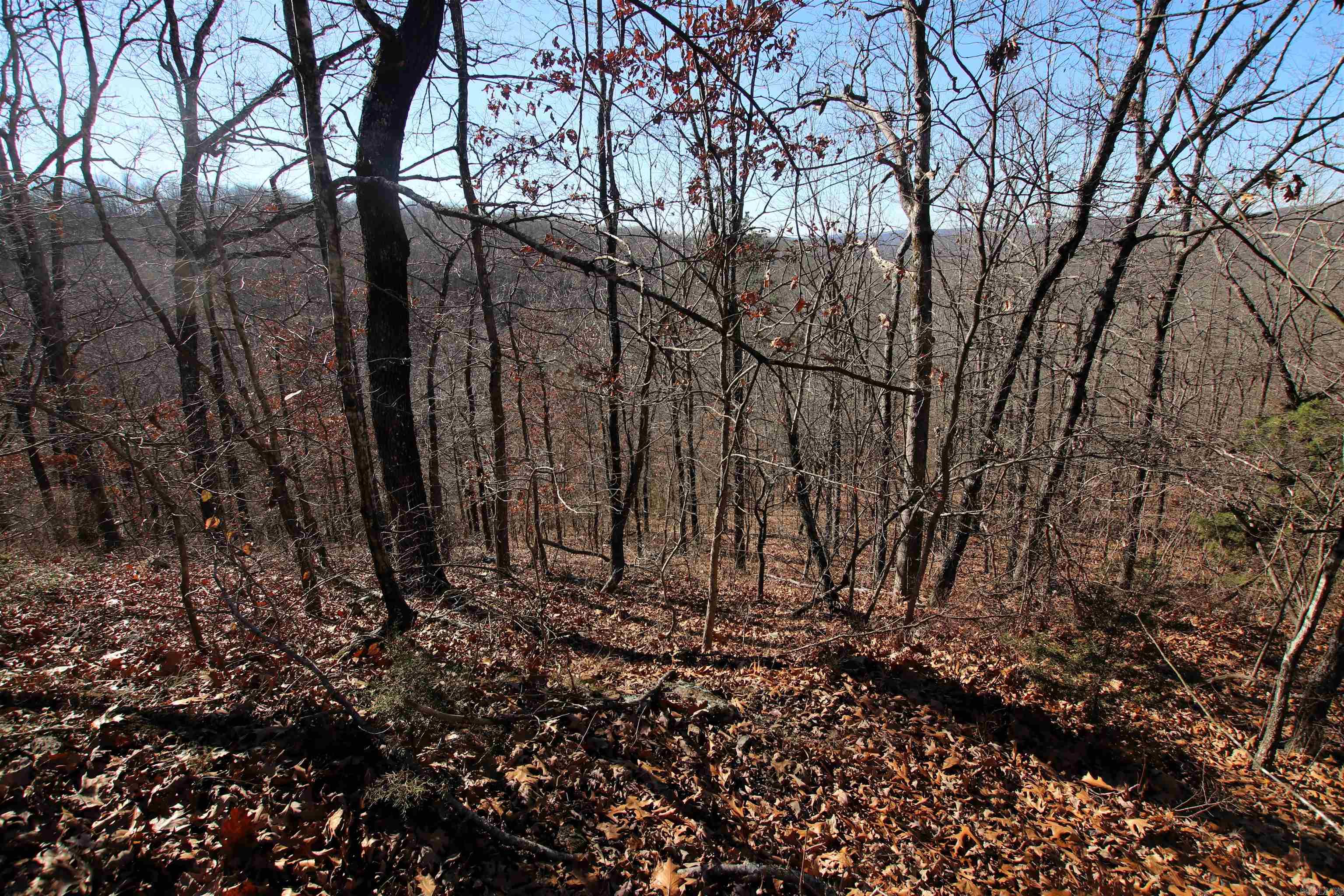 Not in Subdivision - Land