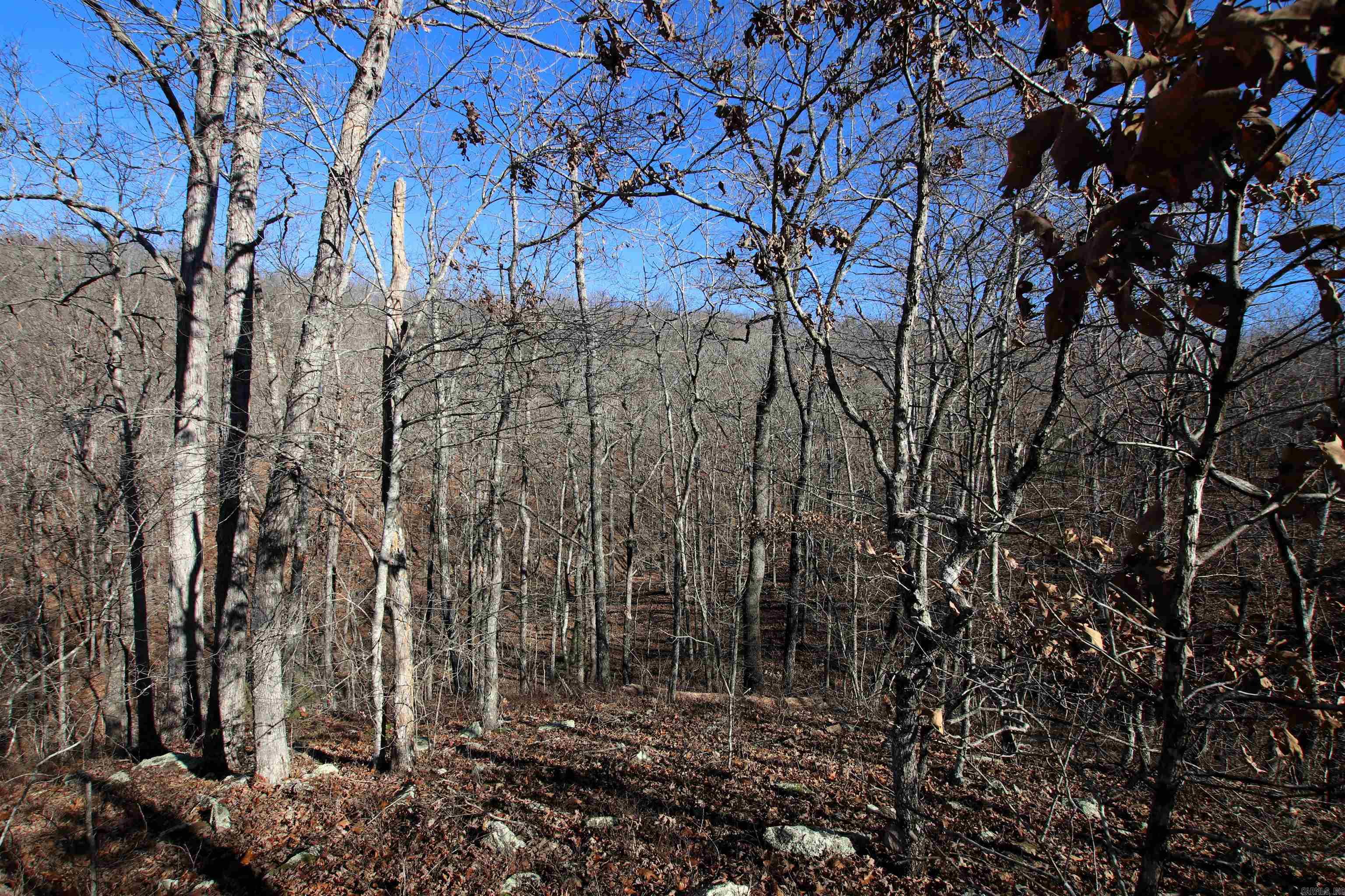 Not in Subdivision - Land