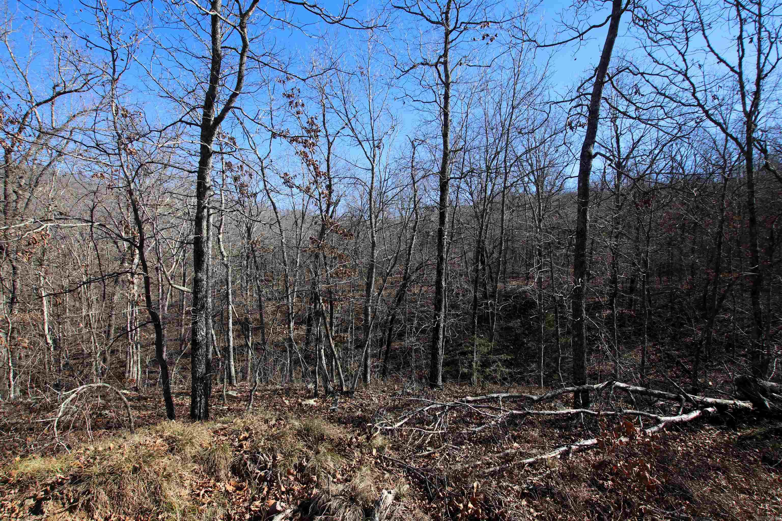 Not in Subdivision - Land