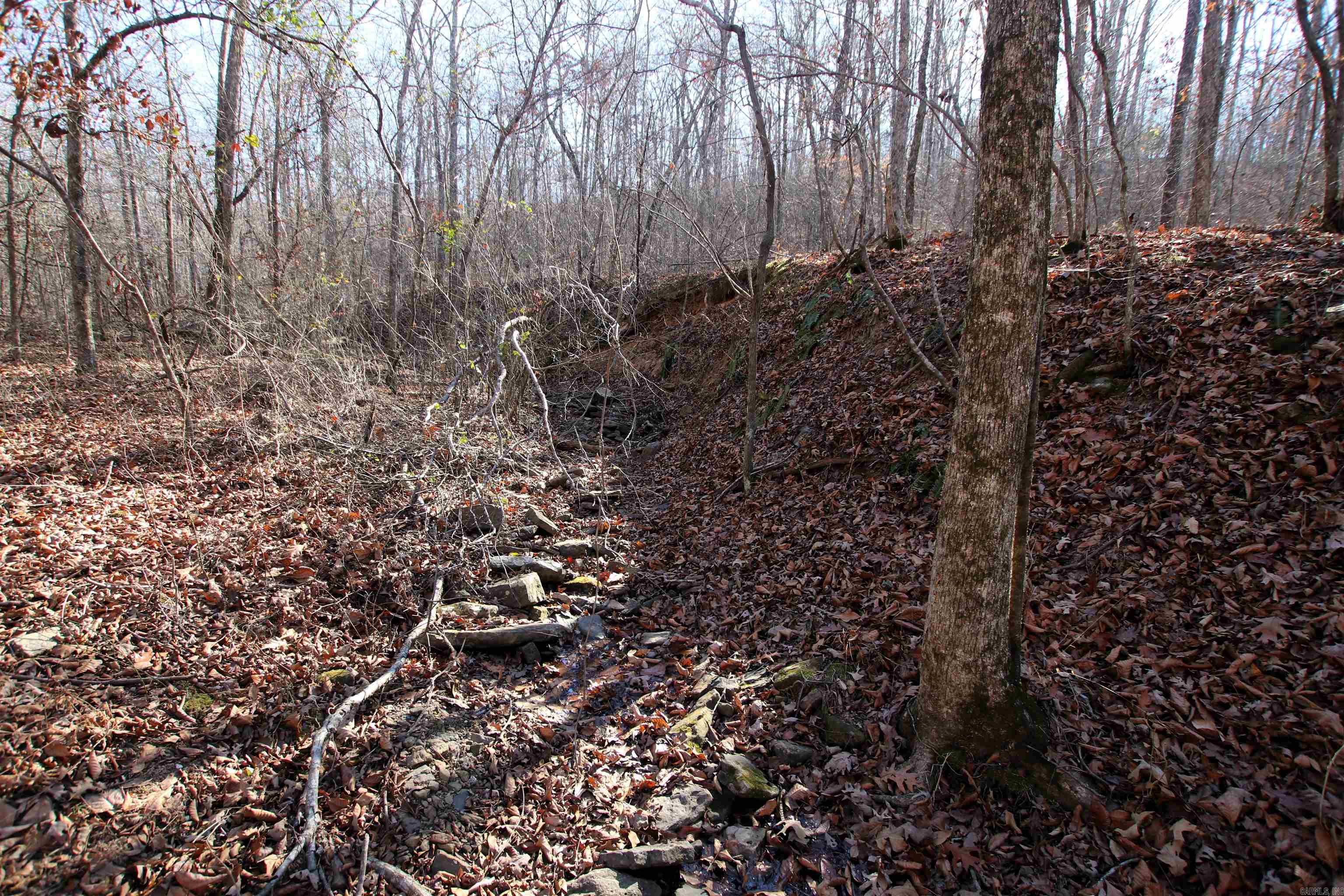 Not in Subdivision - Land