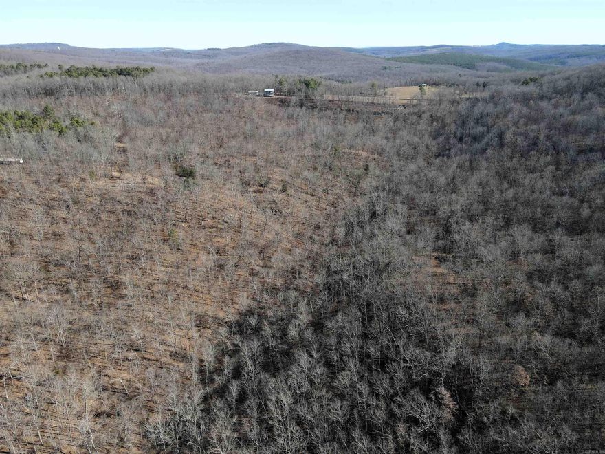 - 20 +/- acres of timber - Wet weather creek - Mature hardwood mix - Utilities near the property - Great topography - 2 gravel pads - Beautiful views - Great hunting - Easement access - 29 miles to Clinton - 25 miles to Hector