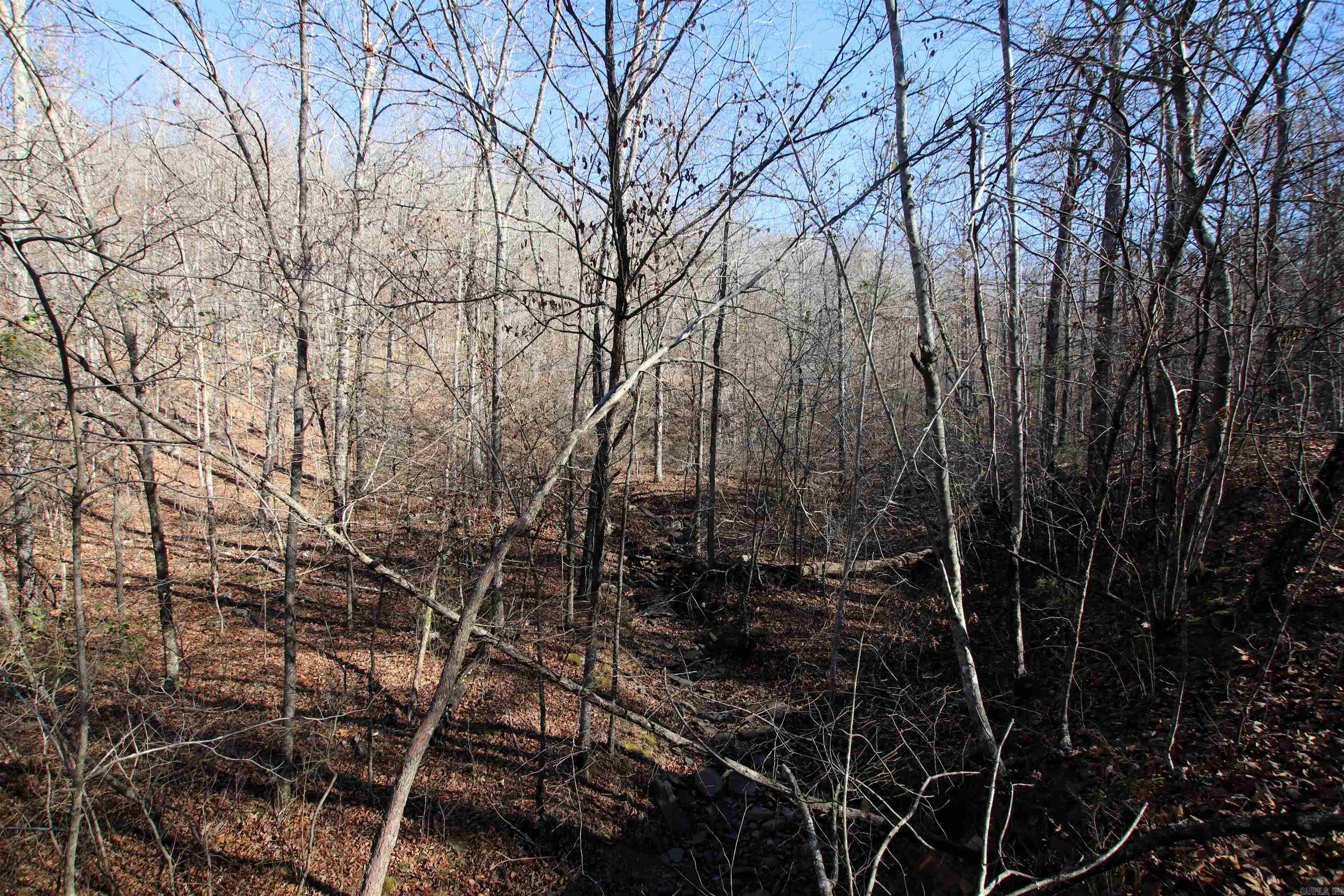 Not in Subdivision - Land