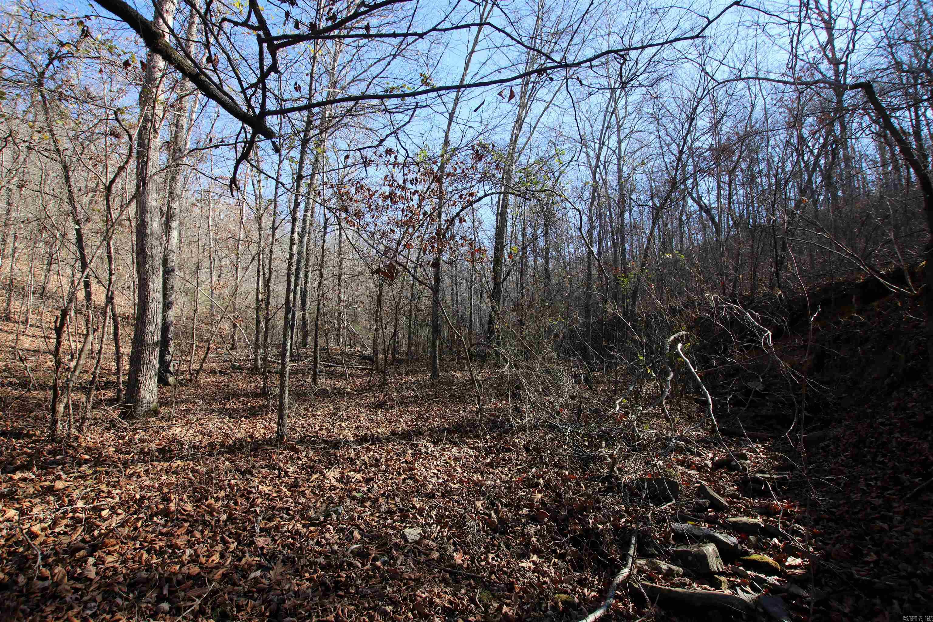 Not in Subdivision - Land