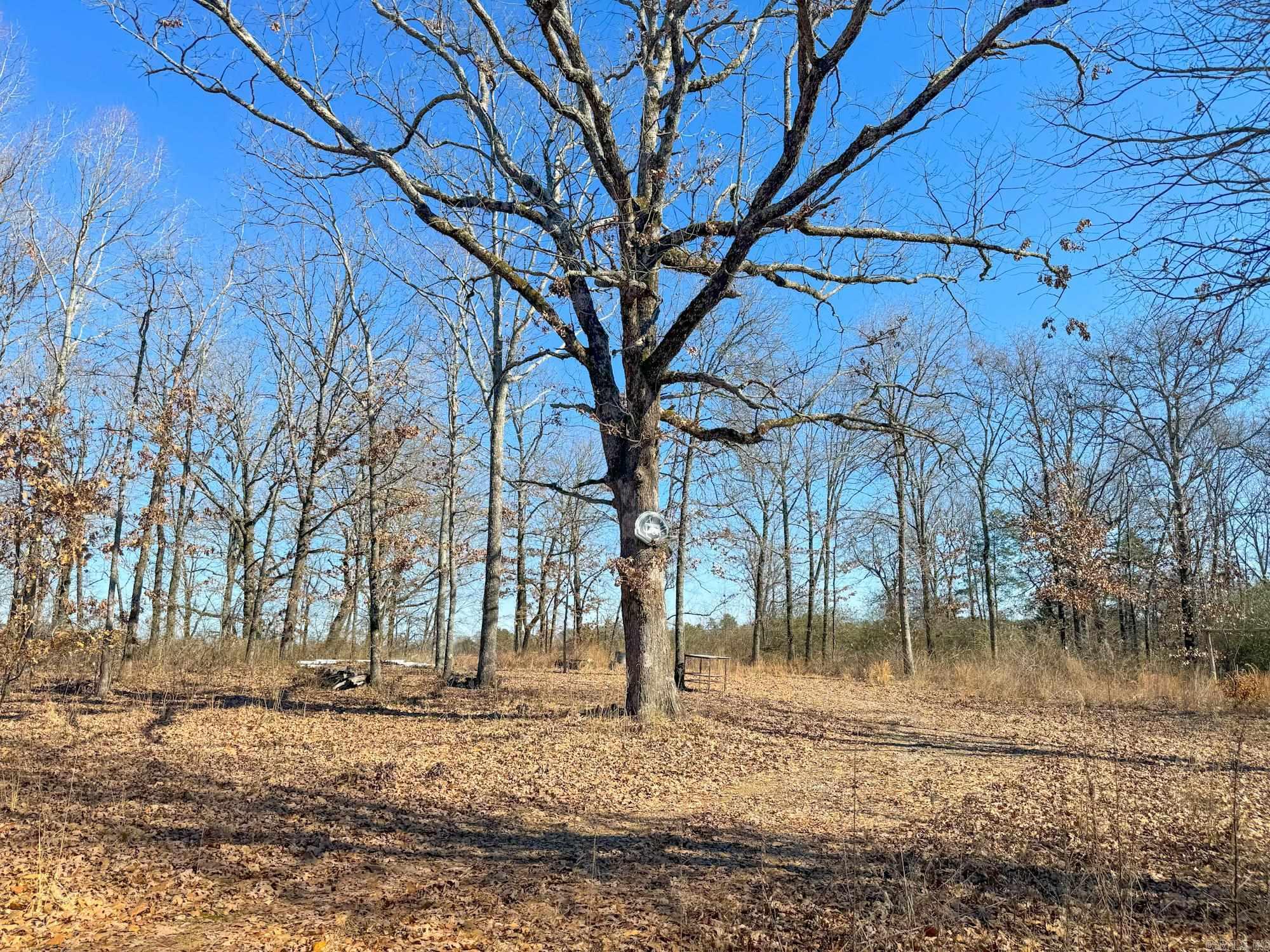 Caldwell Farms - Land