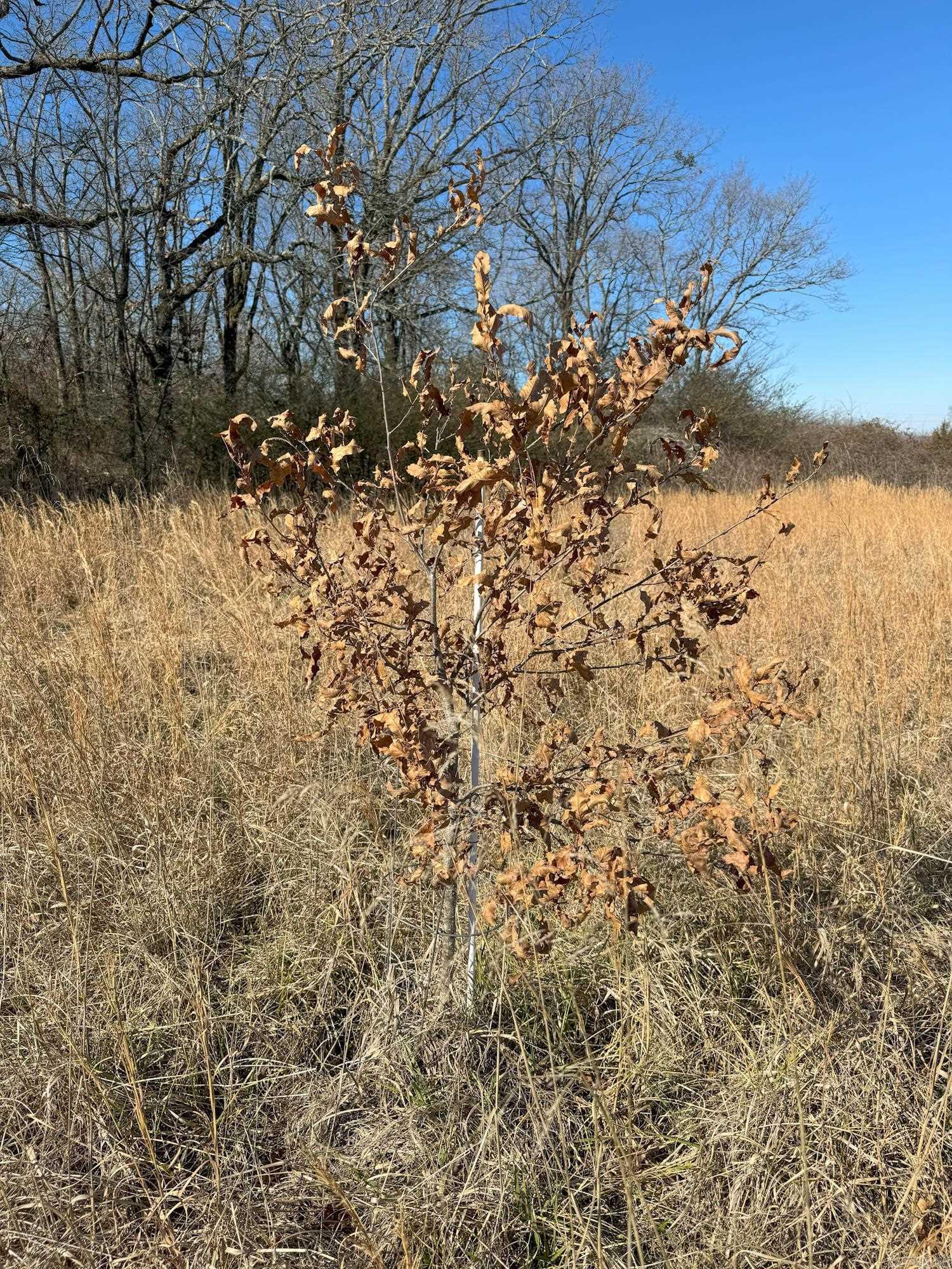 Caldwell Farms - Land