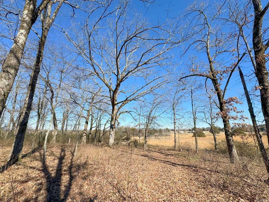 Rural five-acre tract with water and electricity already on the property. There is a perfect homesite up on the knoll, which is shaded by towering old-growth hardwoods. In the last several years, the owner has planted different varieties of oaks, as well as chestnut, apple and pear trees on the property. A bit more than an acre of the land is cleared, leaving space for livestock or a garden plot. No restrictions; mobiles allowed. Land has previously had a perc test and the septic permit has already been approved by the Dept of Health.