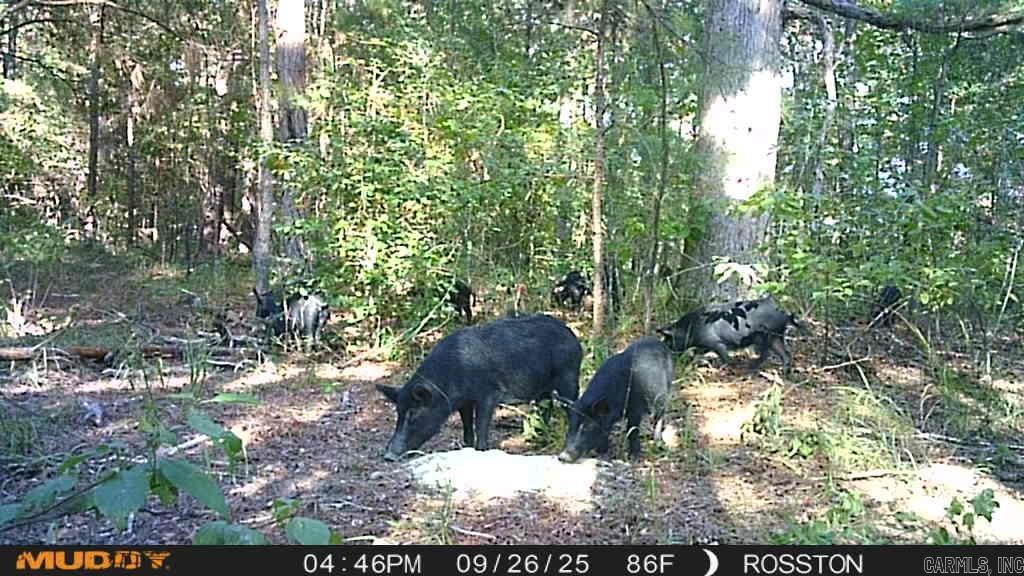 Metes & Bounds - Land