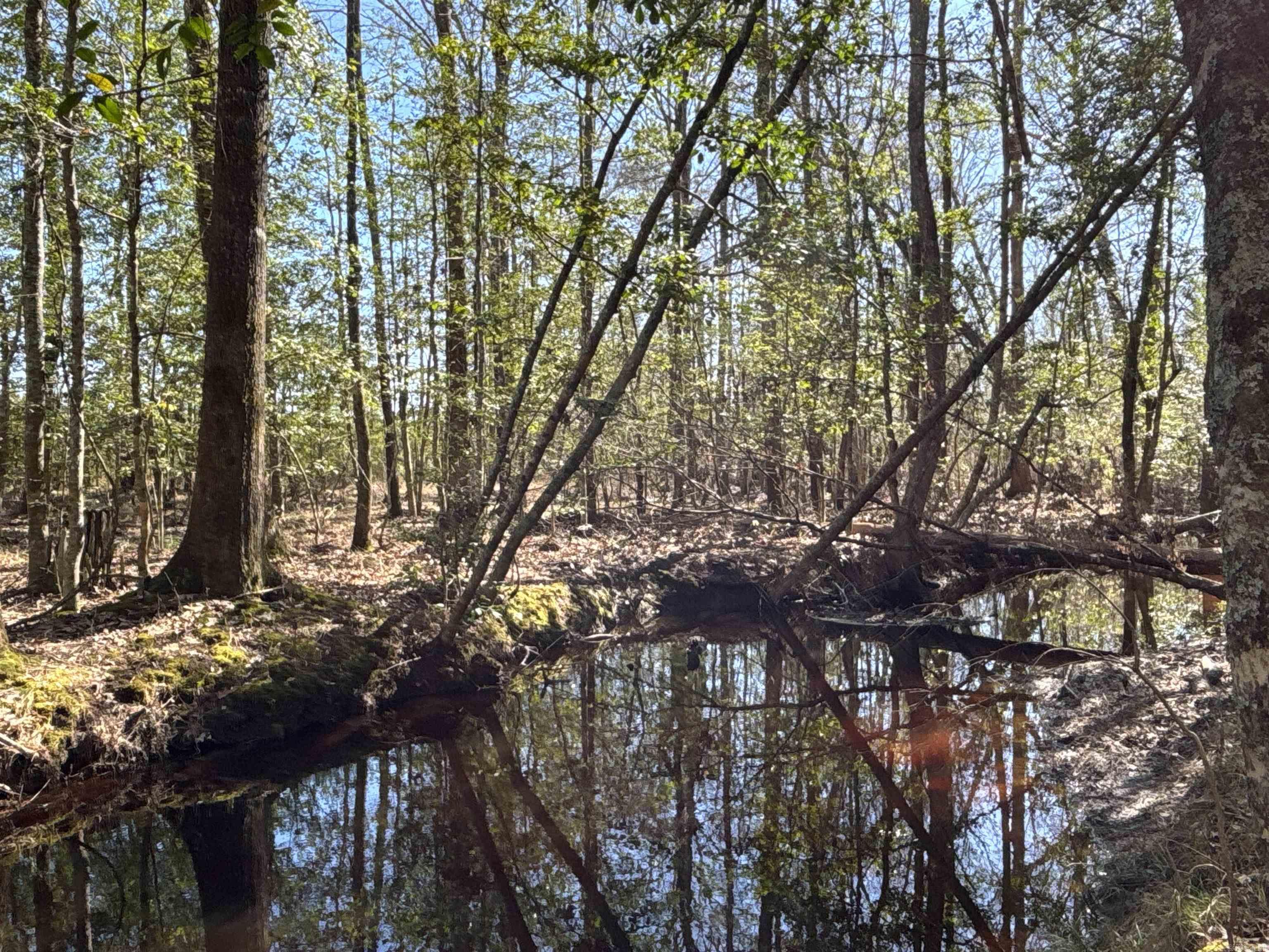 Sparkman Original - Land