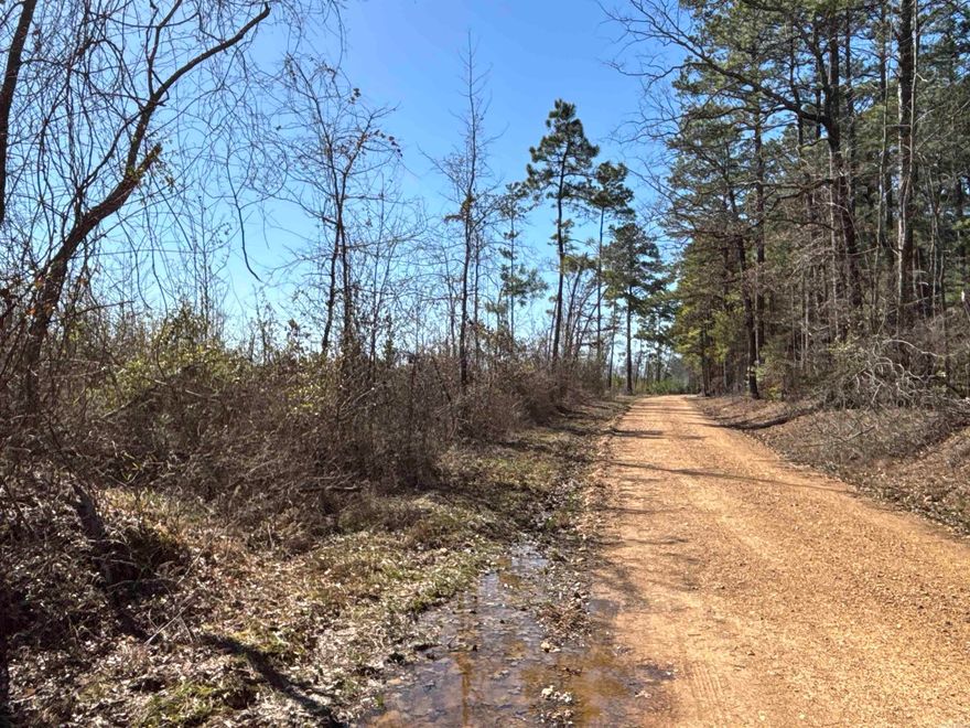 The ‘Spout Springs Road Tract’ (#03019-04044) is a ±66.5-acre tract located in the western part of Dallas County on the Clark County line.  Access is Palmetto Road, a gravel county road that runs along the north boundary.   Most of the tract, about 52 acres, contains a loblolly pine plantation that was planted in 2021 and is growing very well!  The rest of the tract is a mixture of pine and hardwood timber located along a couple of creeks.  One creek flows through the east side of the property while the other serves as the west boundary of the property.  This tract should be a great long-term timberland investment that offers great hunting opportunities!  Looking for something that offers both...then check out the Spout Springs Tract!  Contact the Neeley Team with United Country – Neeley Forestry Service, Inc. at 870-836-5981 and ask about the Spout Springs Tract or check this property out online at UCNeeleyForestry.com!  This offering does not include mineral interests.
