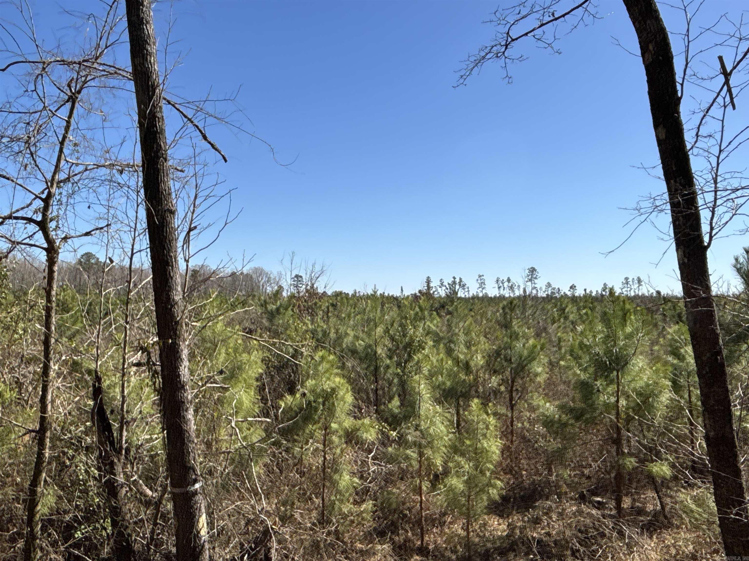 Sparkman Original - Land