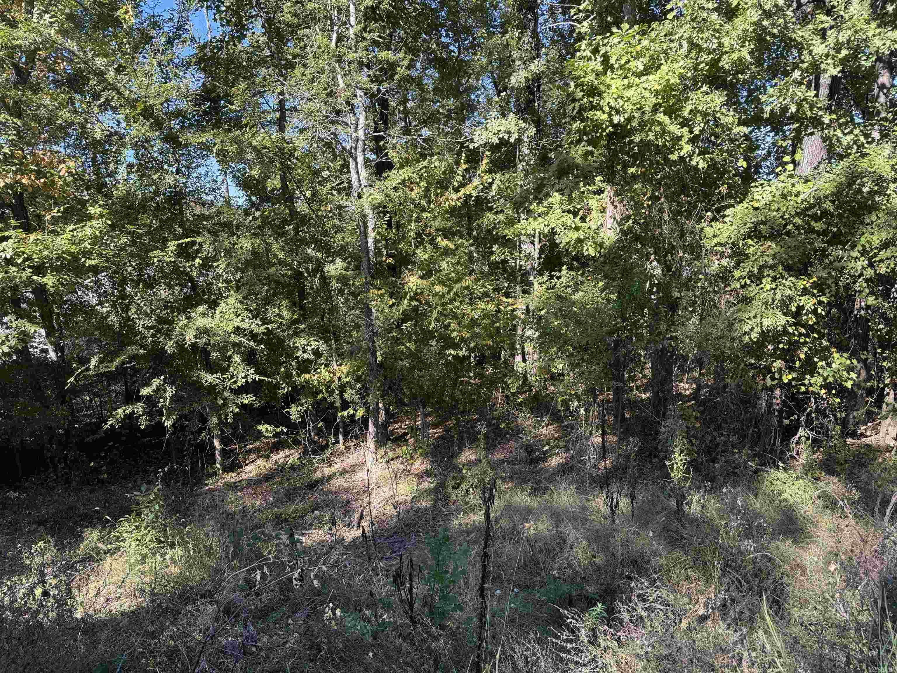 Sky Point Estates-Lake - Land