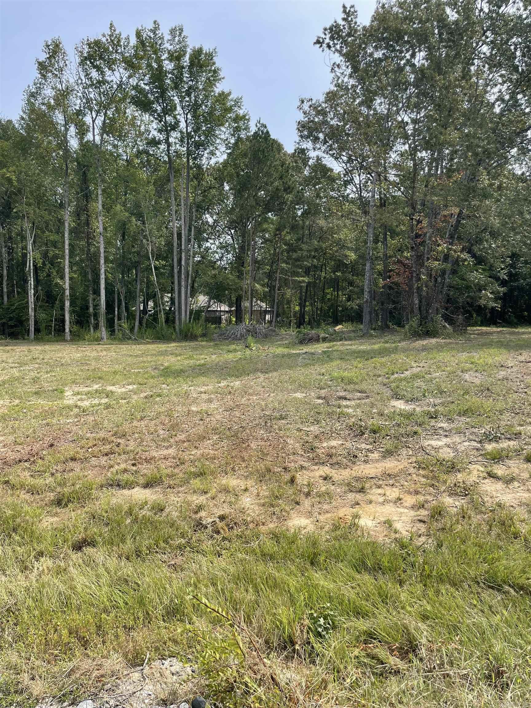 1 acre subdivision lot, has been cleared and ready to build. Has septic permit for a 3 bedroom home. Bring your floor plans and we can build for you, or bring your own builder. Beautiful lot in well sought after area.