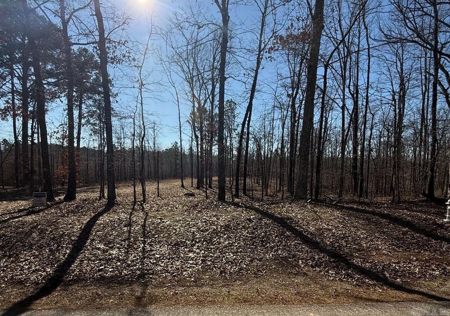 Beautiful 2 1/2 acres to build your dream home on.