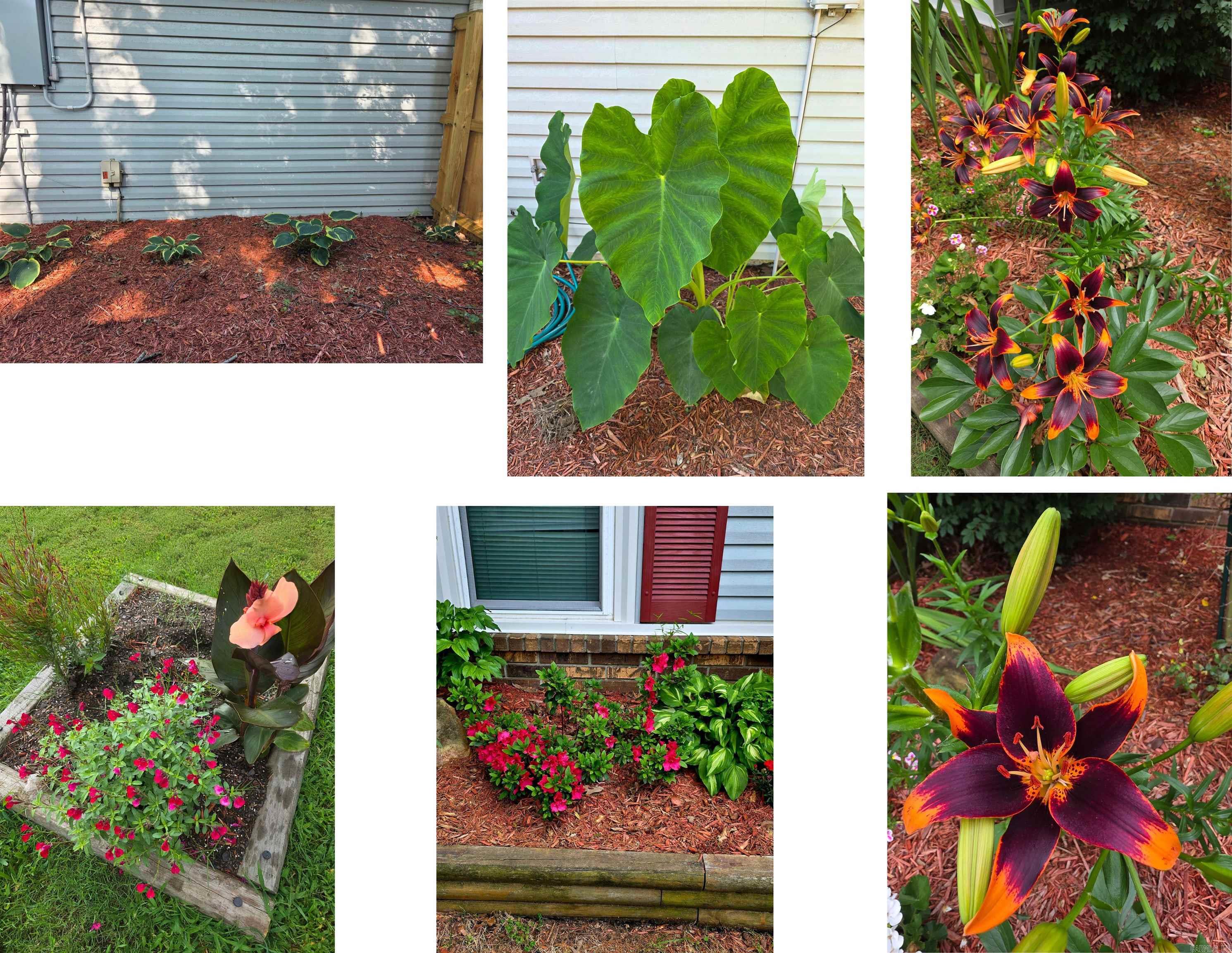 HIGH TIMBERS ADDN - Residential