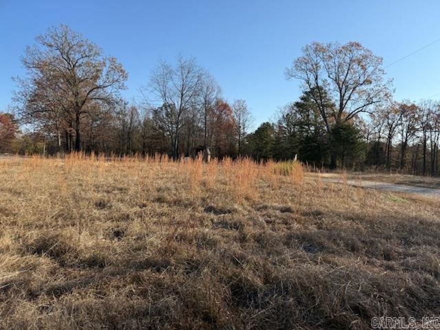 Awesome Opportunity to own land just 2 miles from a Lake Ouachita launching ramp!! Approximately 1.5 acres of level land just 2 miles from Iron Fork Landing on beautiful Lake Ouachita! This land also backs up to hundreds of miles of United States Government land! That means hundreds of acres of public hunting land. Electric is right at the property! Build your rustic cabin! Bring in a manufactured home or camper! This would also be the perfect spot for an AirBNB!! So many possibilities!  * Last 3 pictures are of Iron Fork Landing just 2 miles away!
