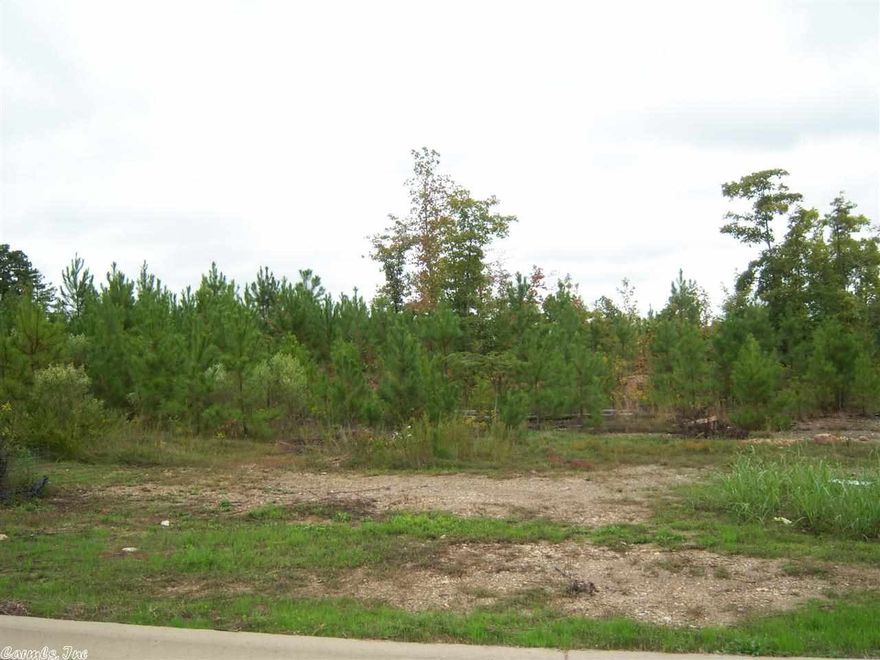 Very nice corner lot.