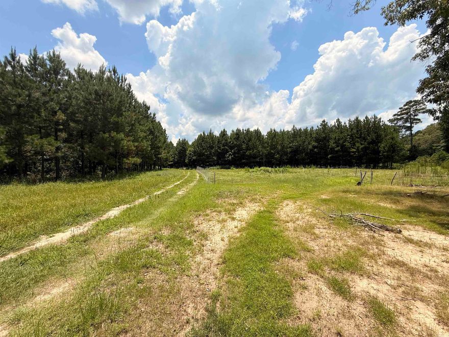 Located in the charming David’s Place subdivision, this 5-acre lot offers the perfect canvas for your dream home. With ample space to design a sprawling estate or a cozy retreat. Surrounded by natural beauty, the gently rolling terrain provides a serene backdrop, blending privacy with convenience. Whether you envision a modern masterpiece or a rustic haven, this lot invites endless possibilities for creating a home tailored to your vision. Subdivision covenants apply.