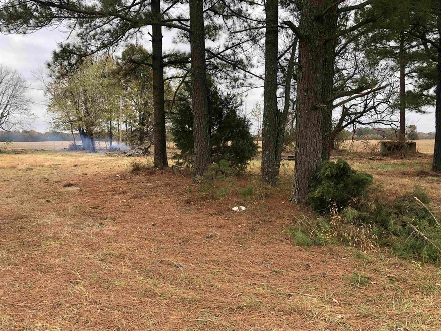 A secluded, approximately 1.5-acre plot nestled between Halliday and Marmaduke offers tranquility and privacy. Essential utilities include rural water, & electricity. The property features a storm shelter, level terrain with shade trees, and no restrictive covenants. This blank canvas is ideal for building a custom home, engaging in agricultural pursuits, or creating recreational spaces in a serene, unrestricted environment.