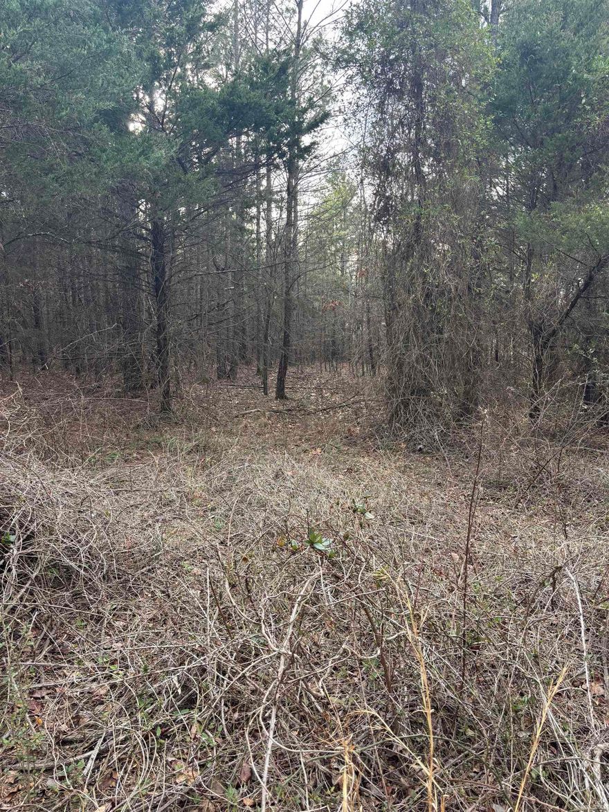 Located just a few minutes from downtown Quitman, this 7.25+/- acre tract lays beautifully along state highway 25.  Loaded with pine and hardwood it provides a great haven for wildlife not too far from Heber Springs & Greers Ferry Lake!  Gently sloped from back to highway frontage this property is also home to a pond and would make a beautiful home place not far from everything you need and Quitman School District.