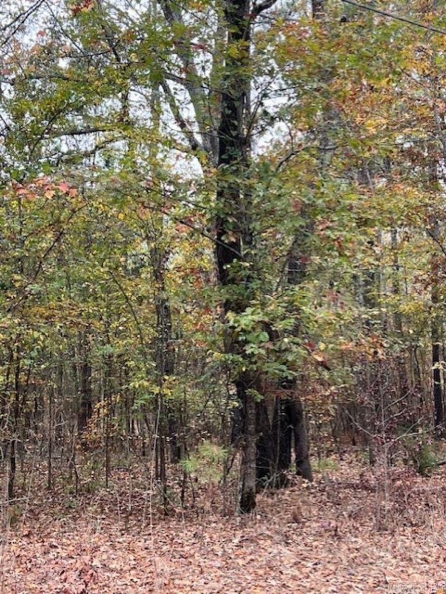 Secluded wooded homesite or great recreation tract within minutes from 1-30, Walmart and local hospital.  Paved county road access, utilities nearby not onsite.