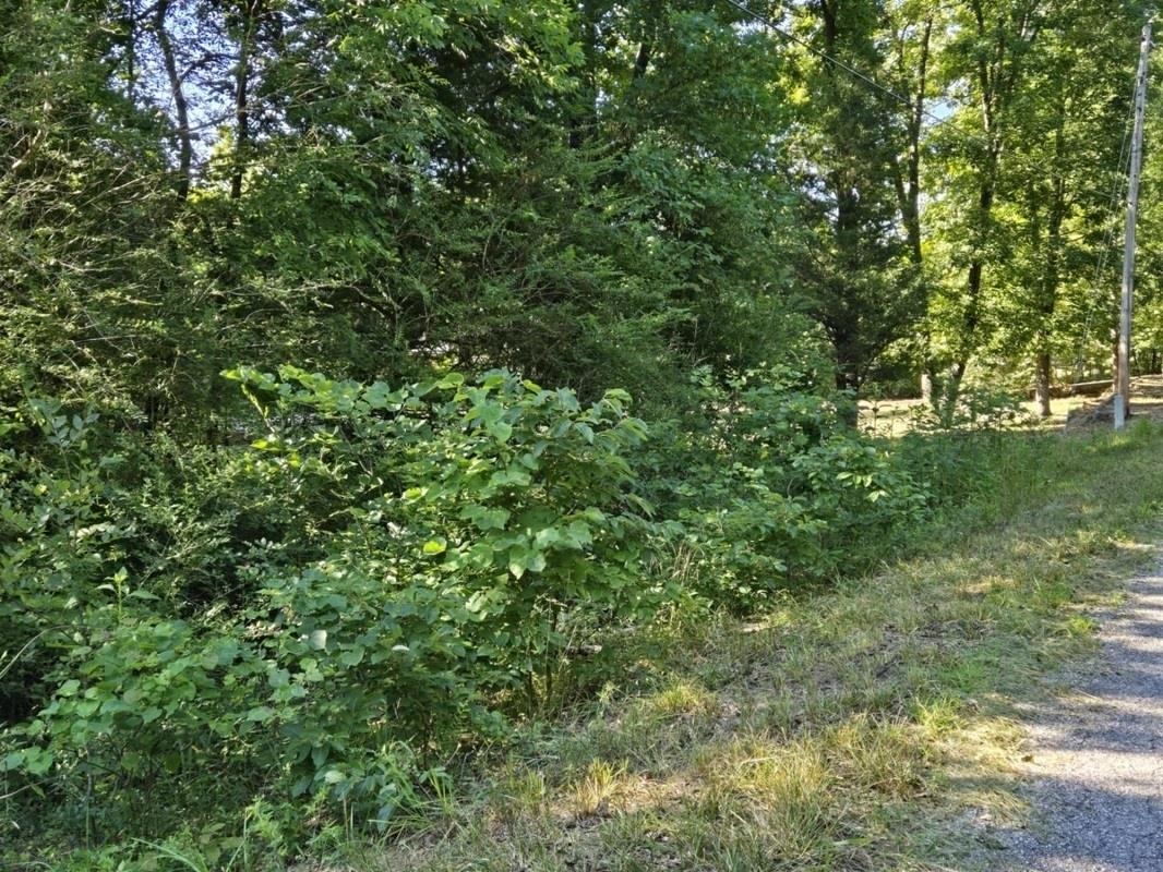 Dakota Second - Land