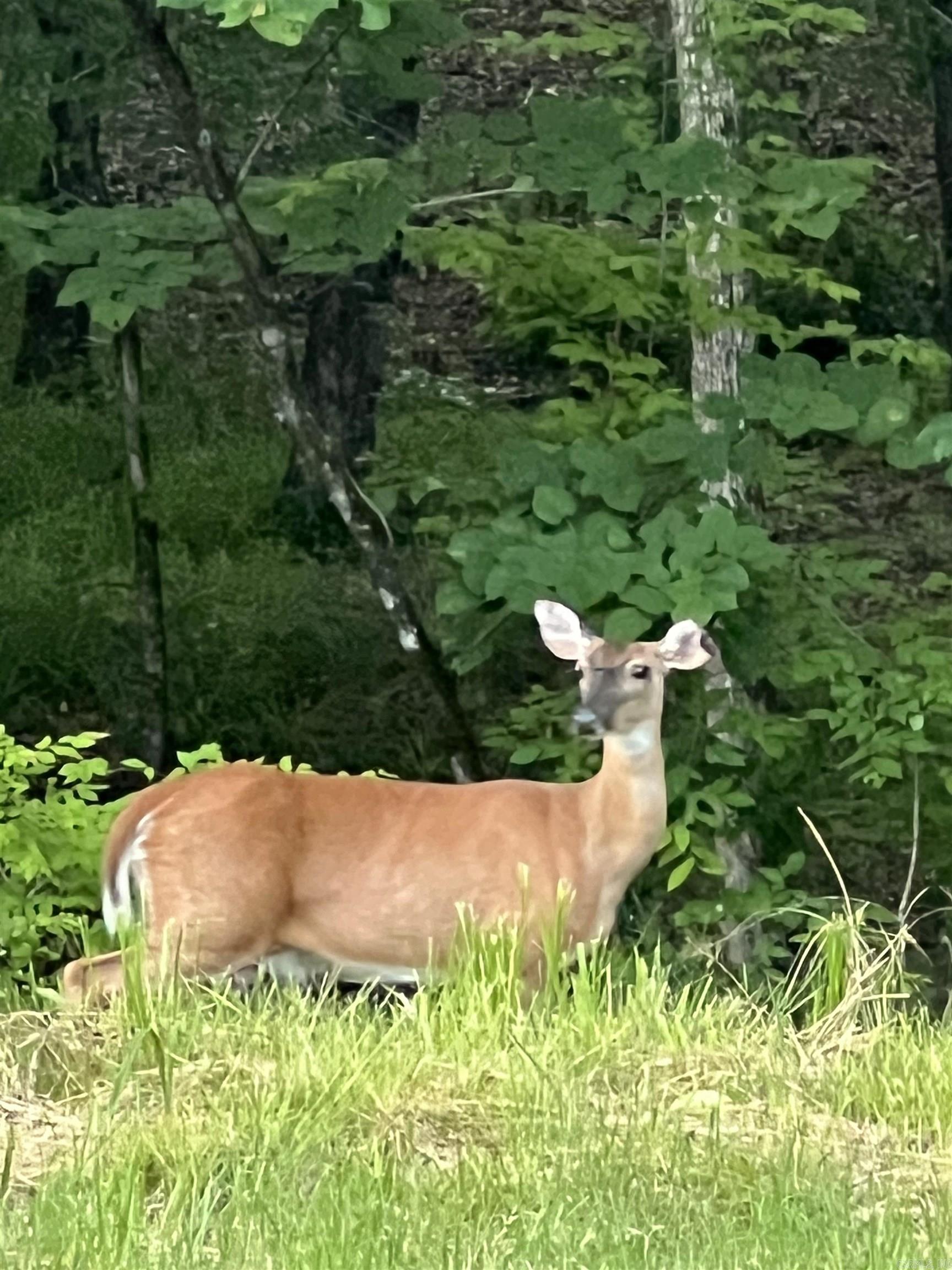 BIG ROCK ESTATES - Land