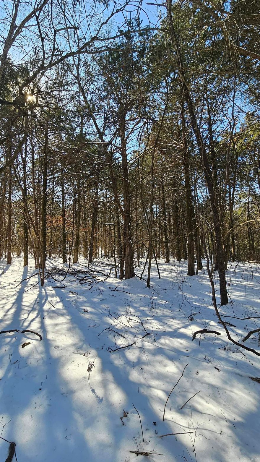 This property, located in Diamond City, Arkansas, is undeveloped and ready to build on! There are no immediate neighbors, it is minutes from the Lead Hill campground and Sugarloaf Marina on Bull Shoals lake, and is abound in mature cedar trees. 35 minutes south of Hollister and Branson, Missouri, for entertainment, food, and shopping. 30 minutes north of the Buffalo National River for kayaking, picnicking, and fishing. And, the same for Ponca, to listen to the only elk herd in Arkansas bugle in the fall to attract cow elks. Enjoy the farmer's markets on the Harrison city square, fishing on Bull Shoals lake, and spending the day at Silver Dollar City in Branson!