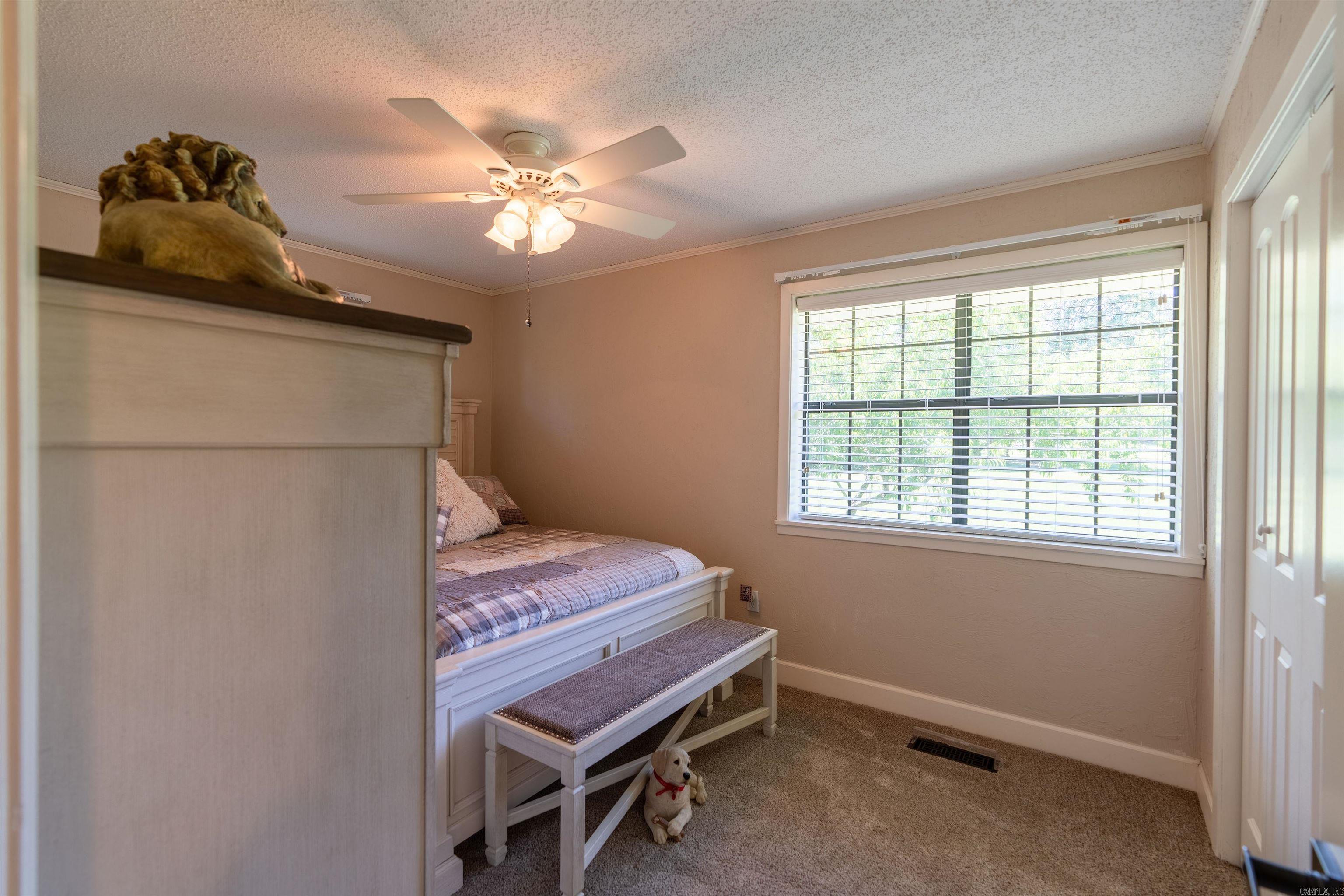 Heber Springs Outside - Residential