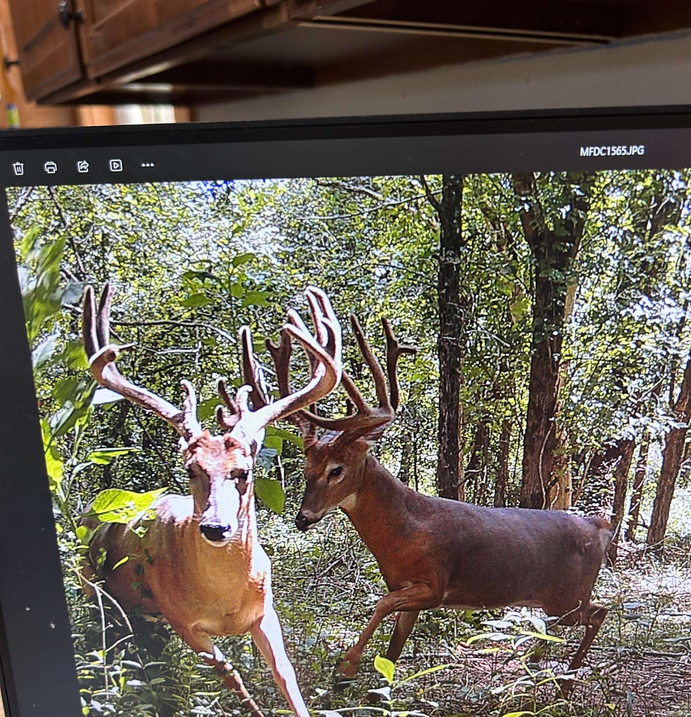 Metes & Bounds - Land