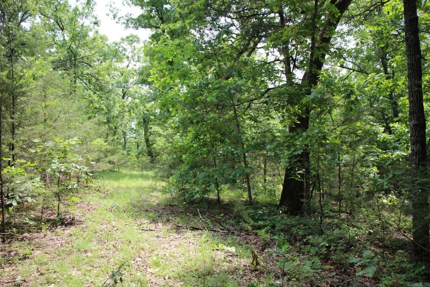 Secluded 9.26 acres joining the corp of engineer’s land. This property has an old driveway to a fallen in metal building that could be scrapped or reused. Walk to the Bull Shoals Lake from your property or drive to the boat launch just a few miles away.